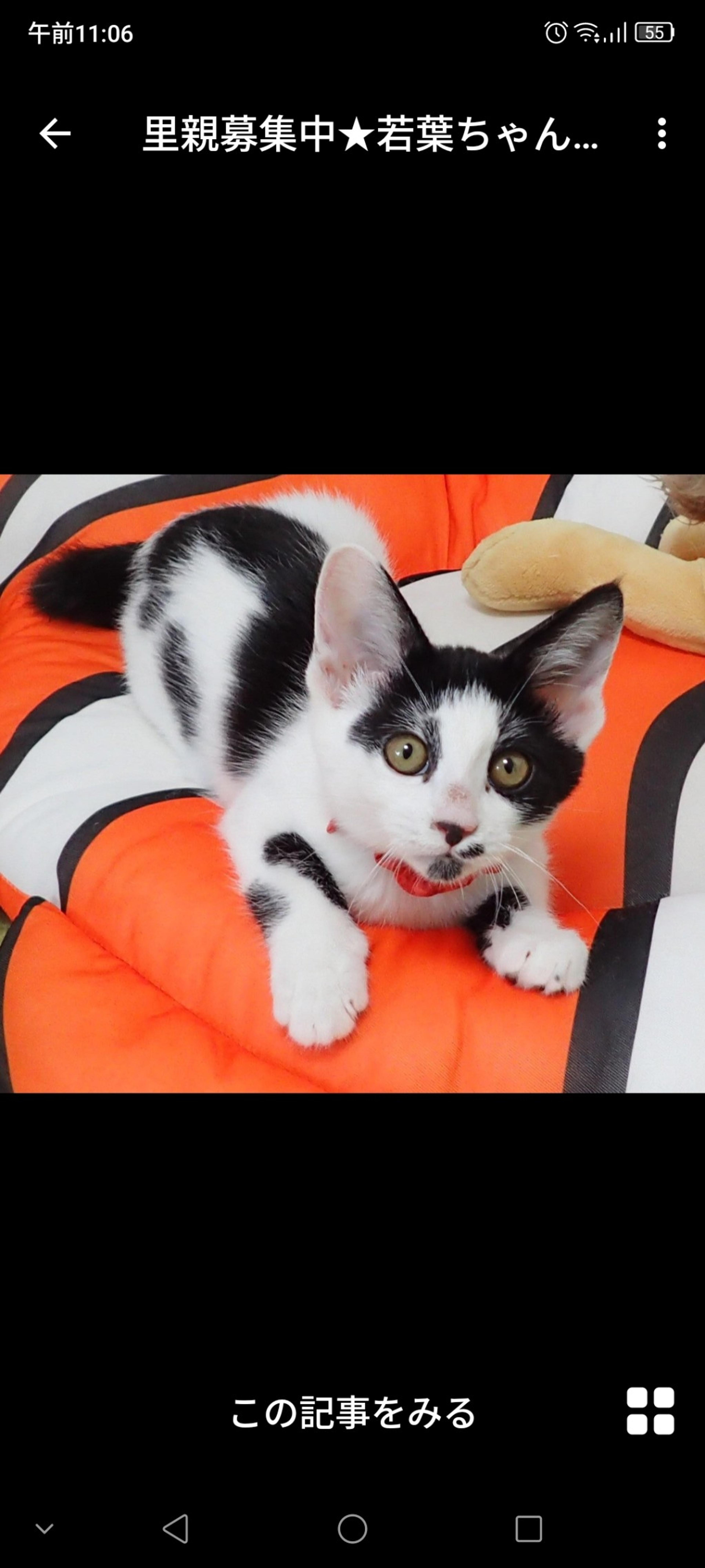 pet-image-2
