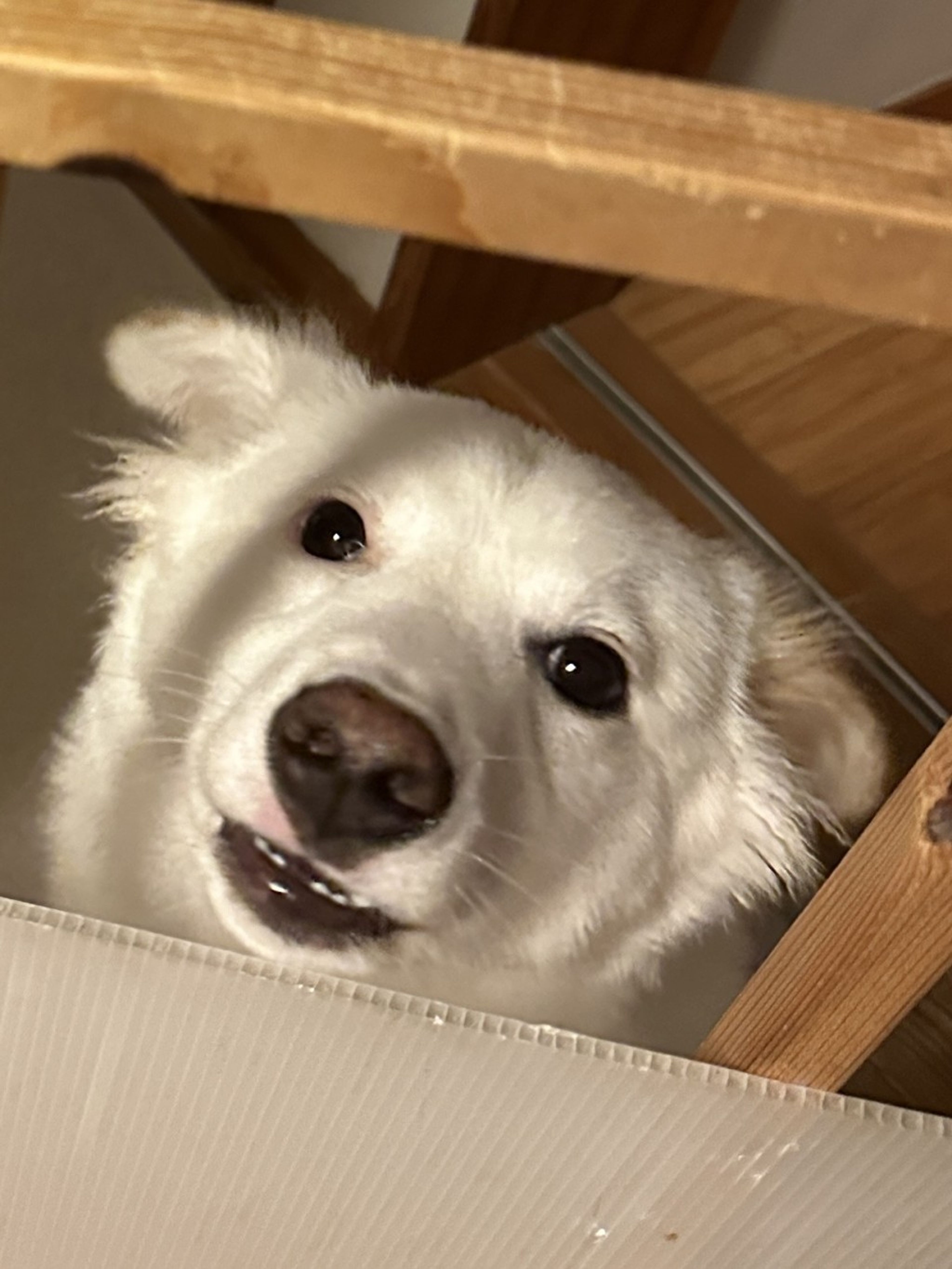 image-6
