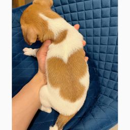 thumb-1