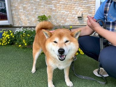 福