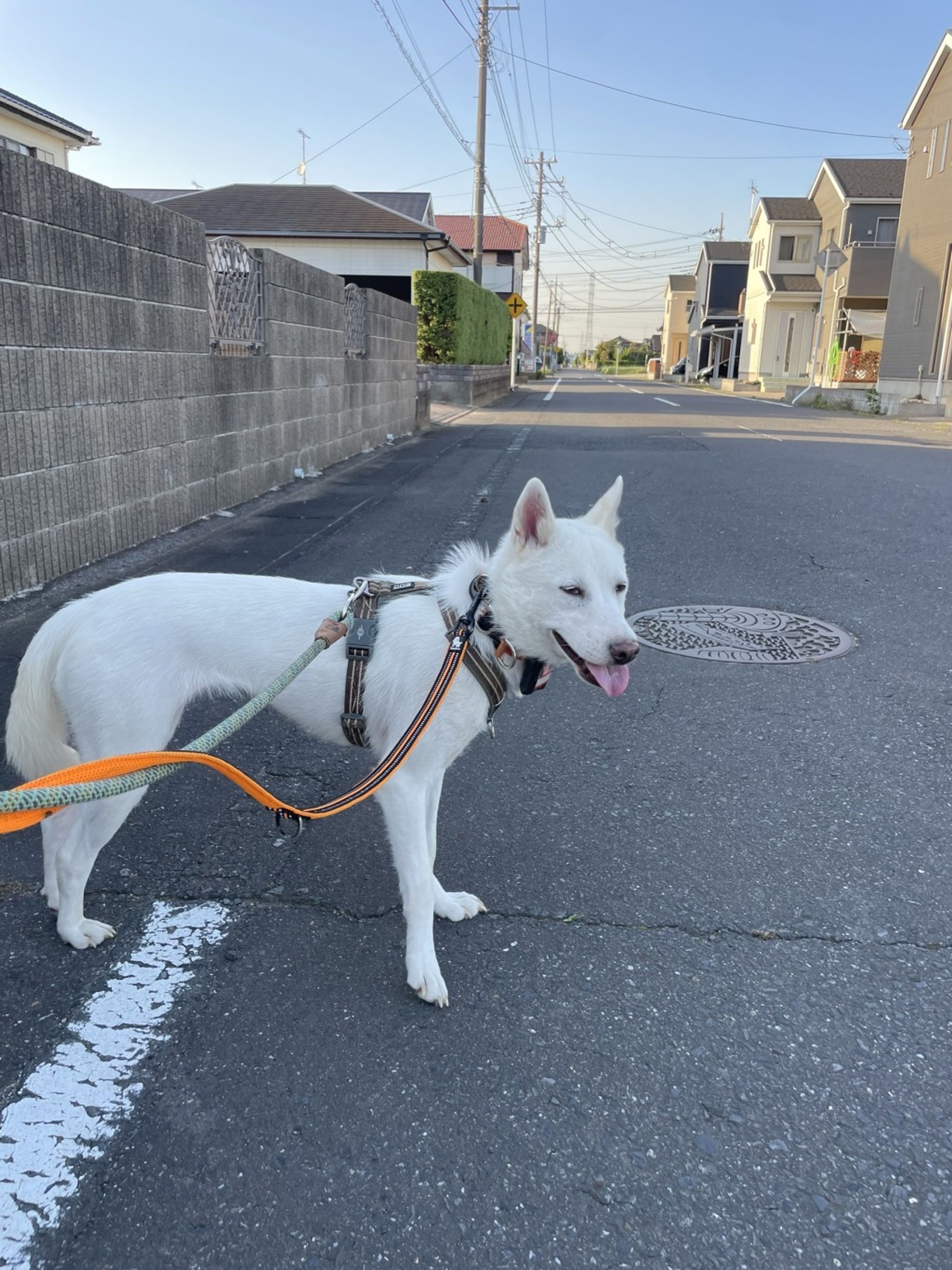 image-5