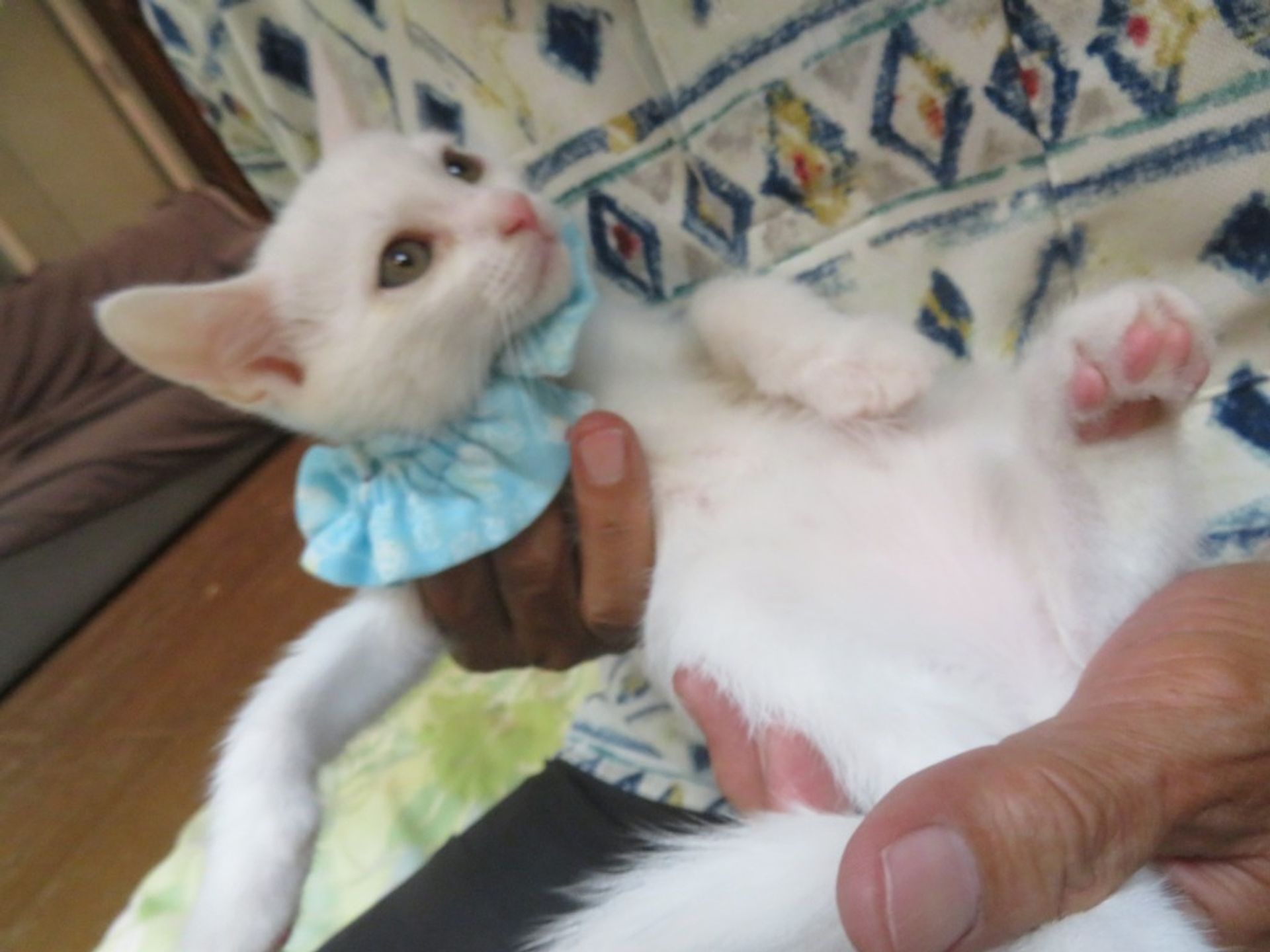 thumbnail-2