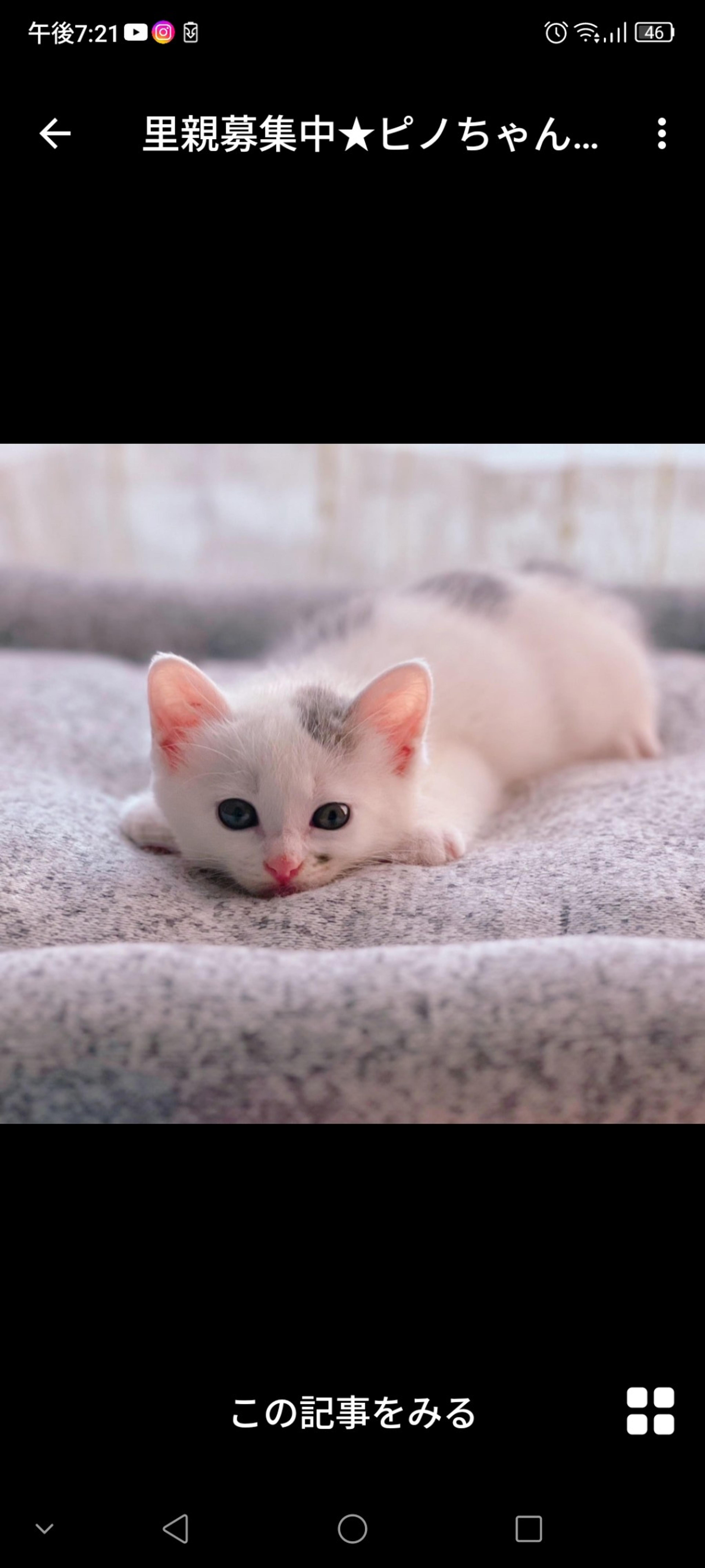 pet-image-2