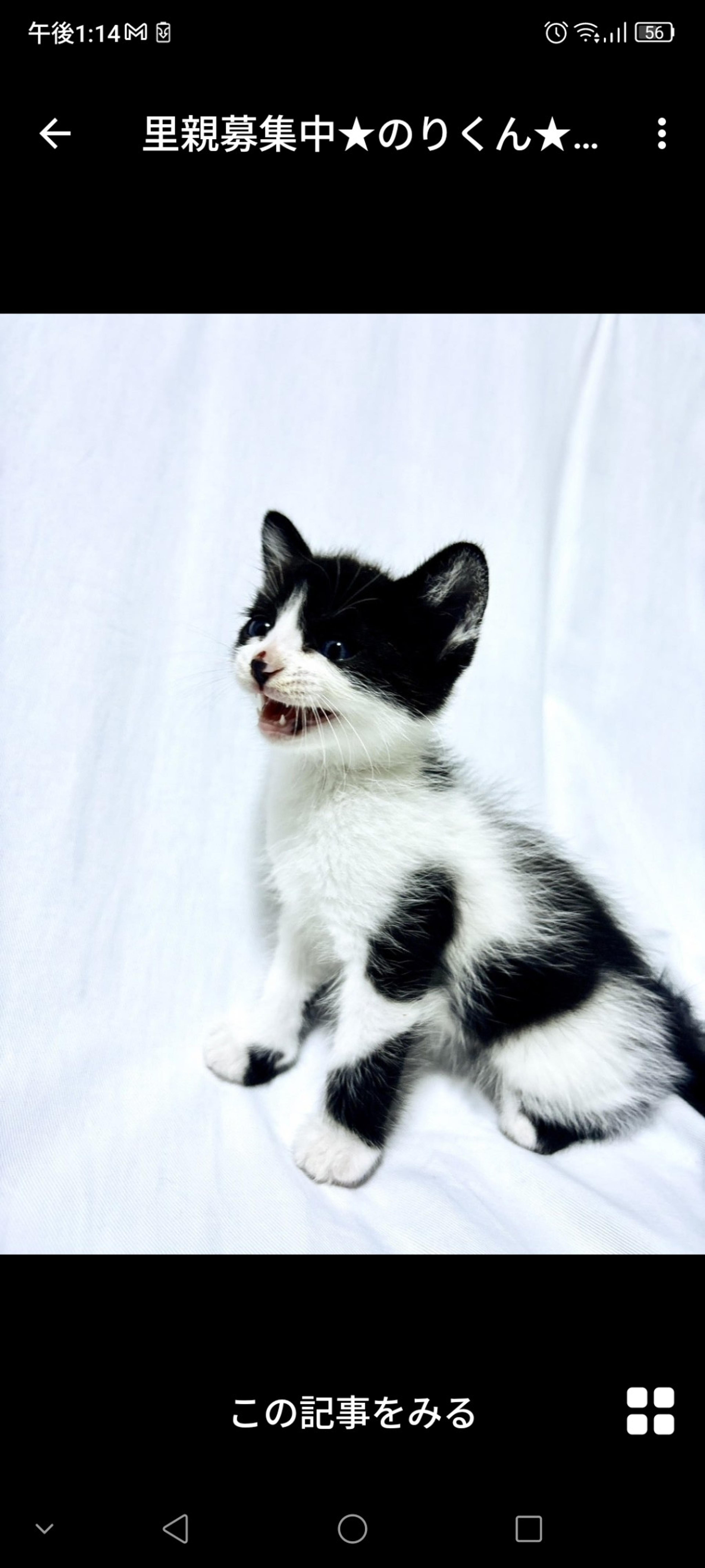 pet-image-2