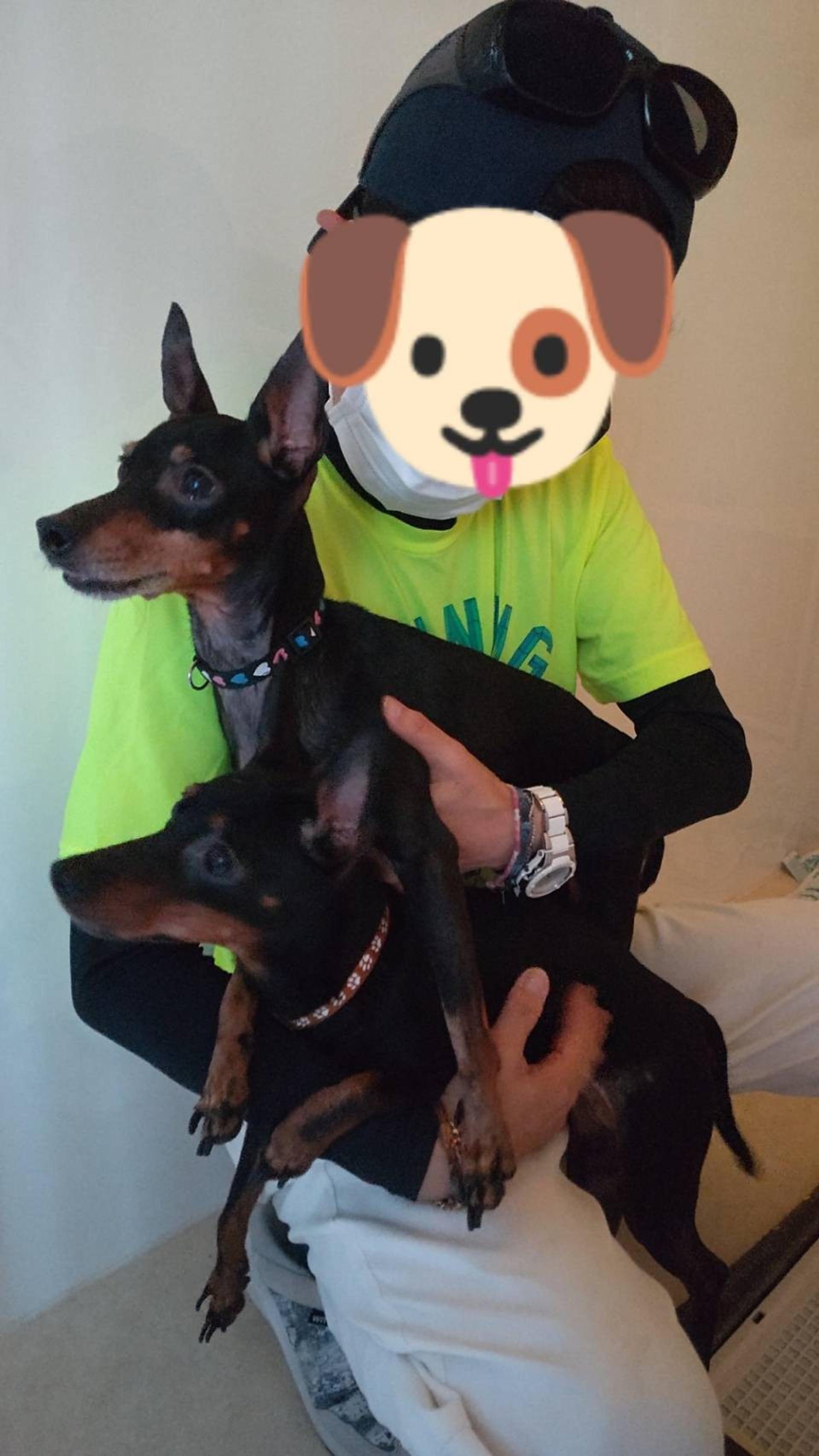 pet-image-7