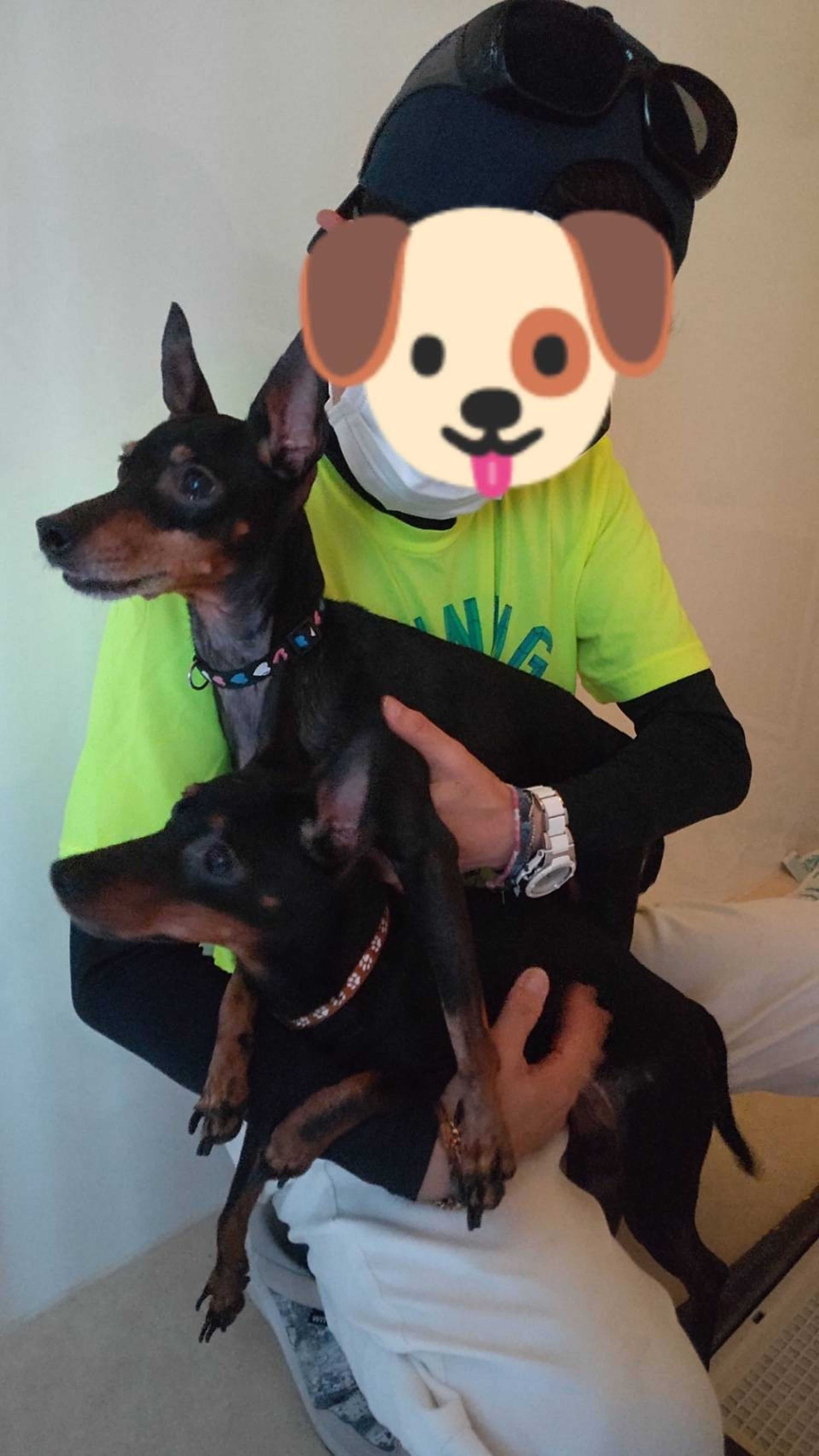 image-6