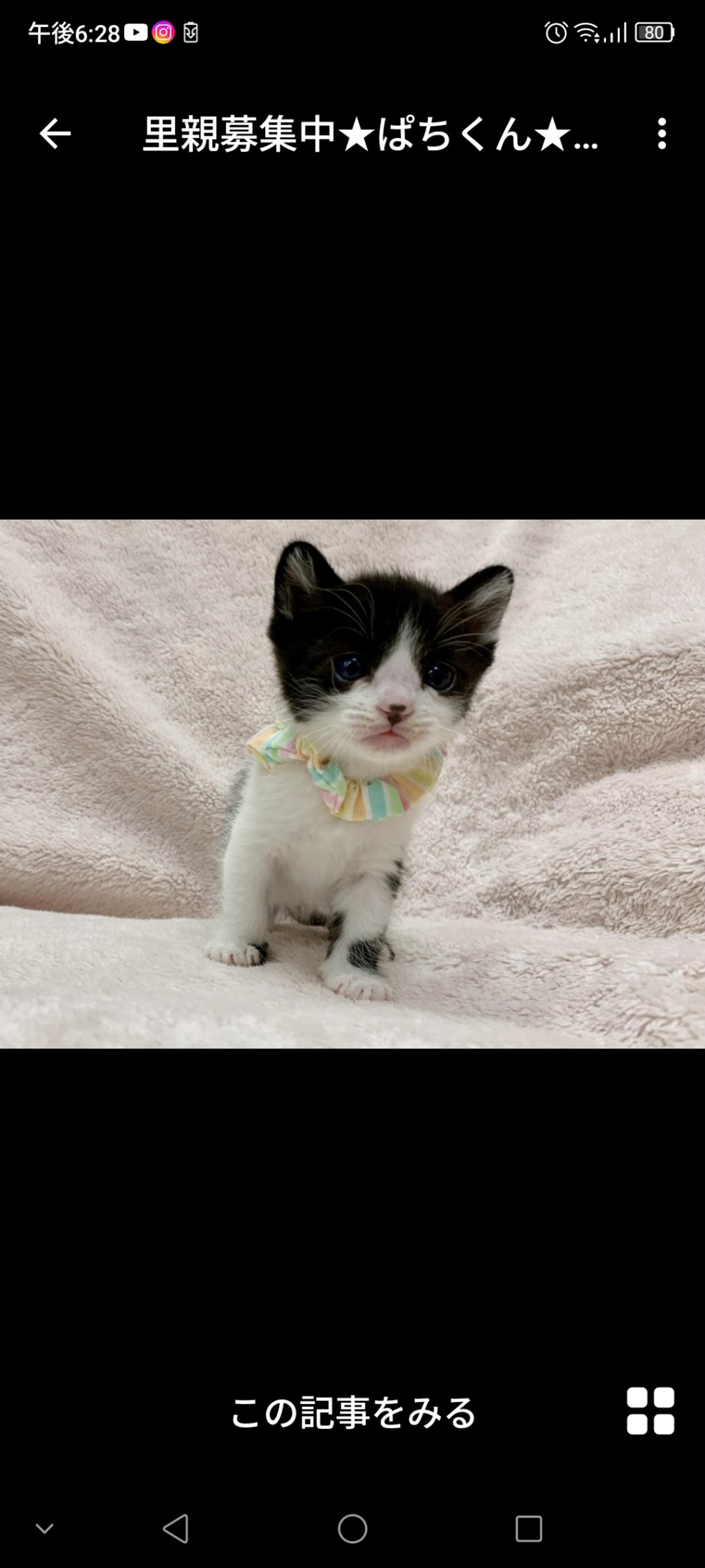 pet-image-2