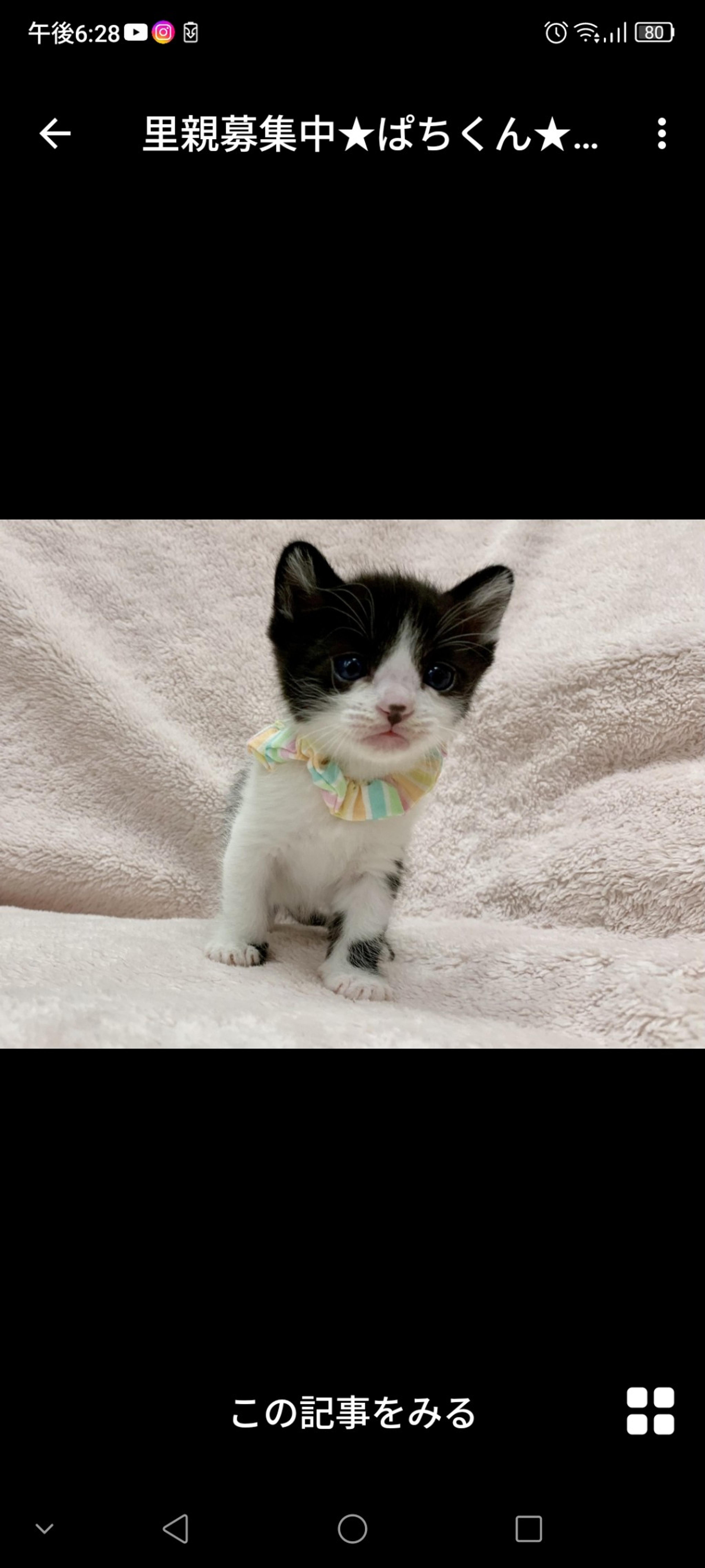 pet-image-2