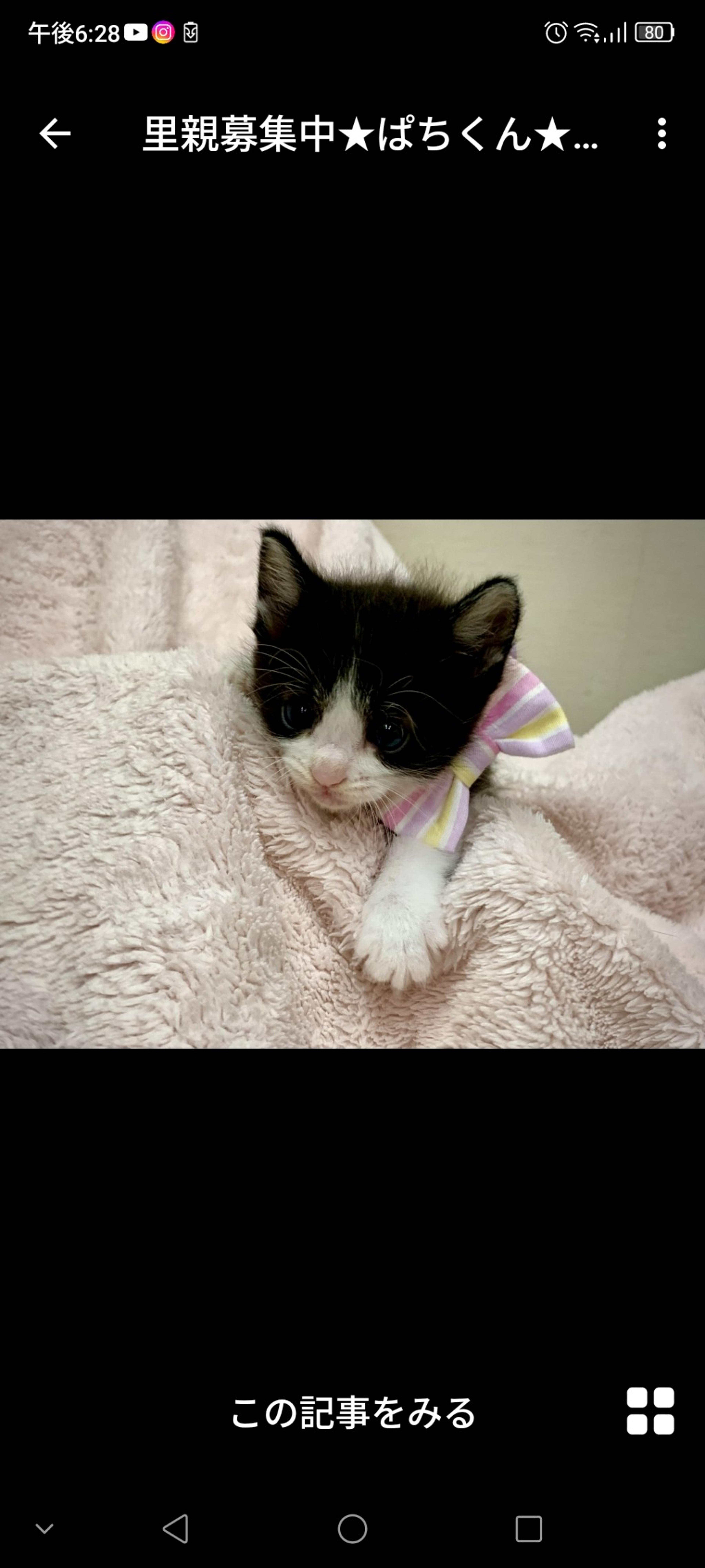 pet-image-3