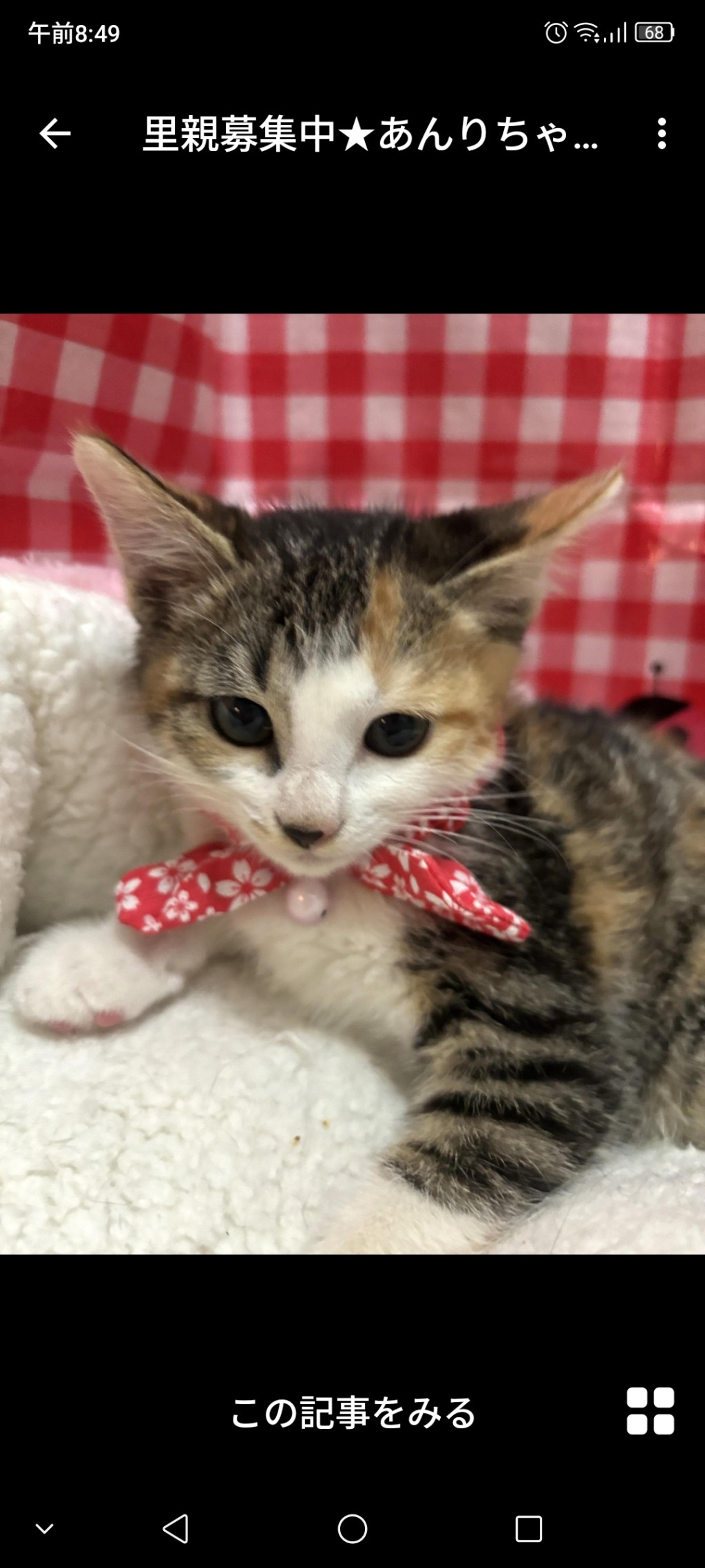 pet-image-3