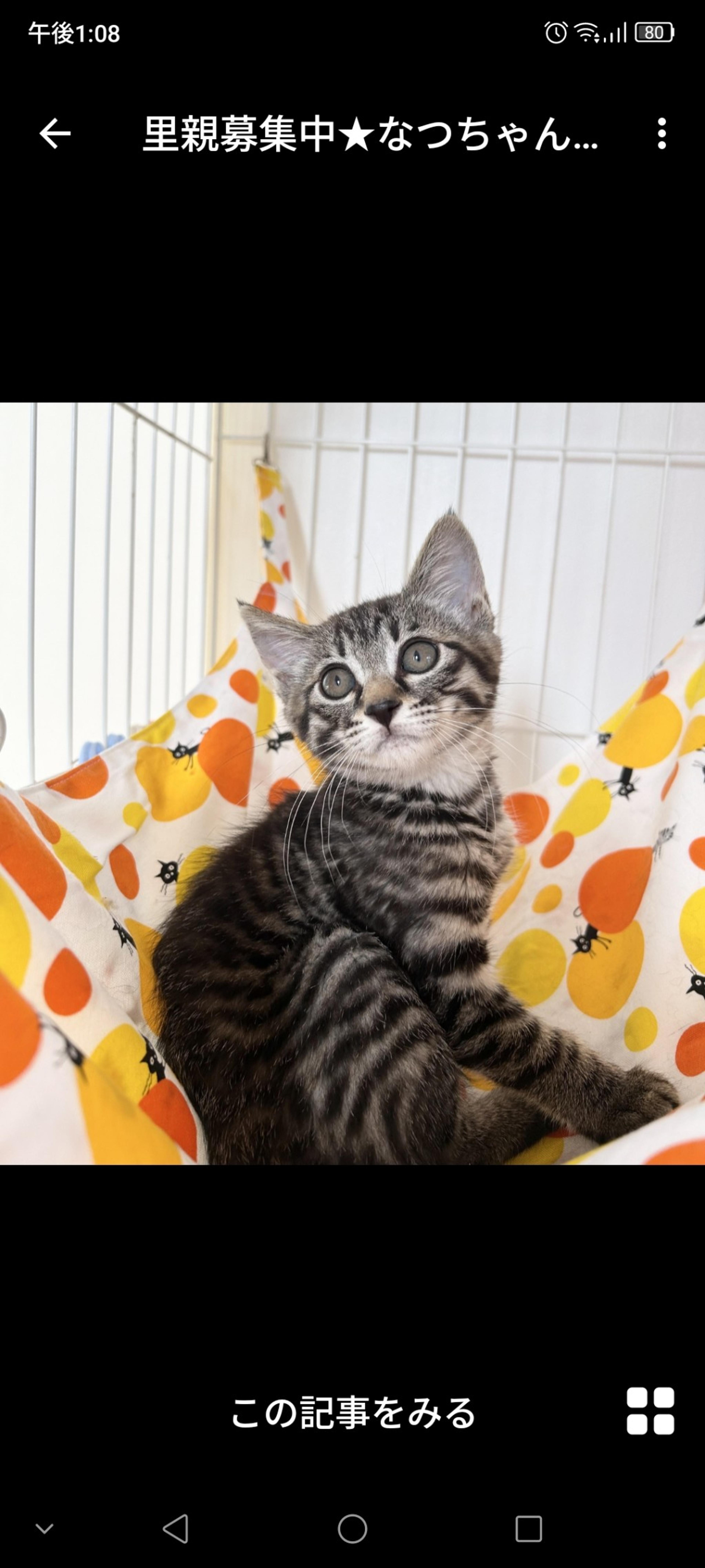 pet-image-2