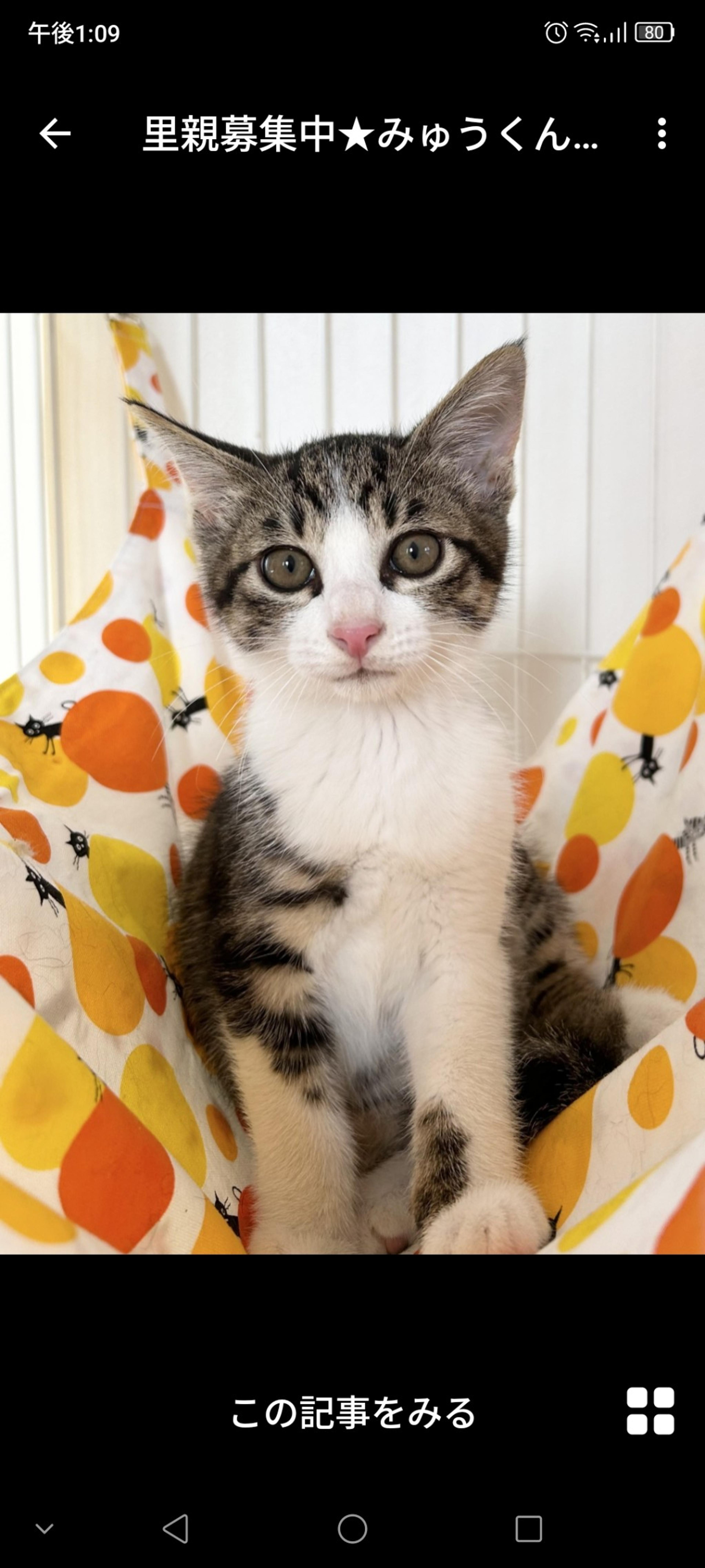 pet-image-2
