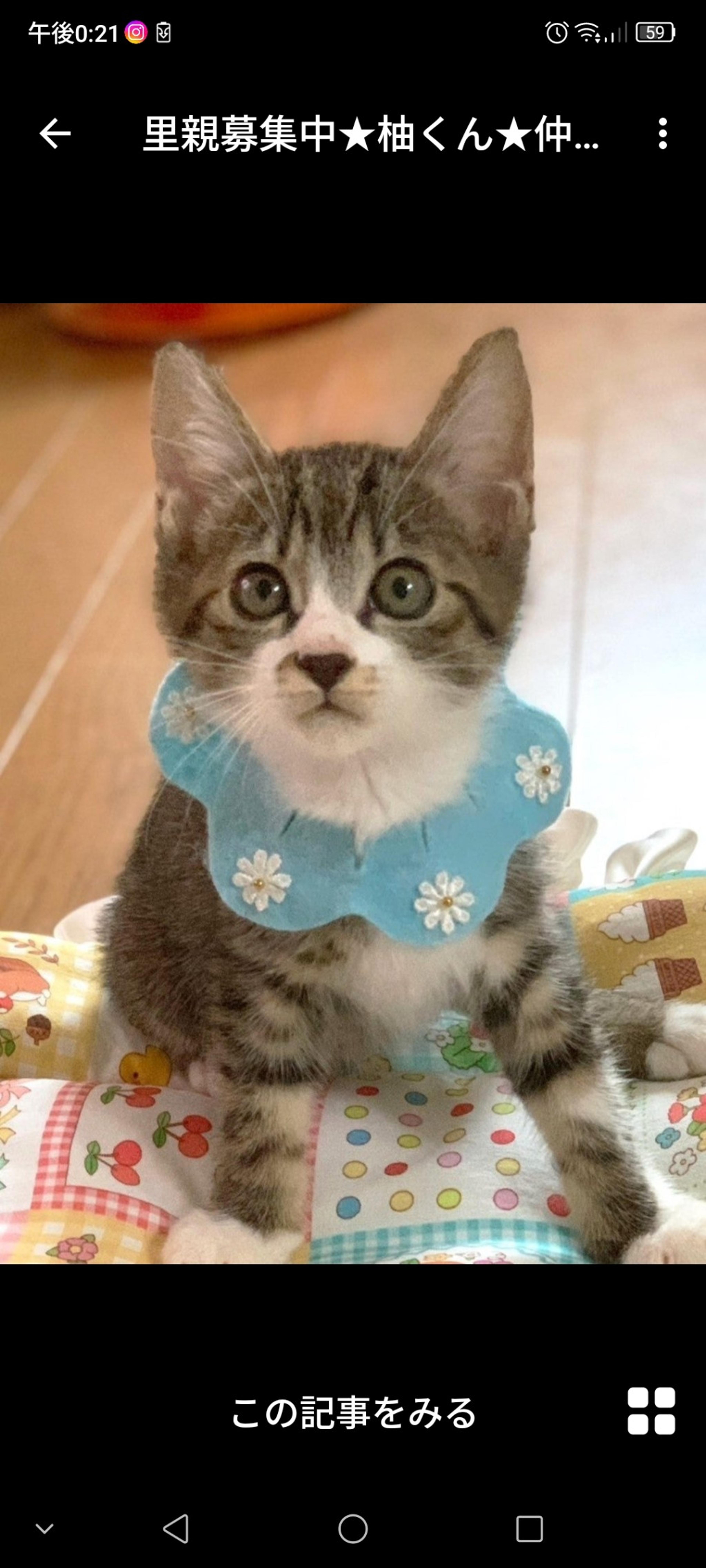 pet-image-2