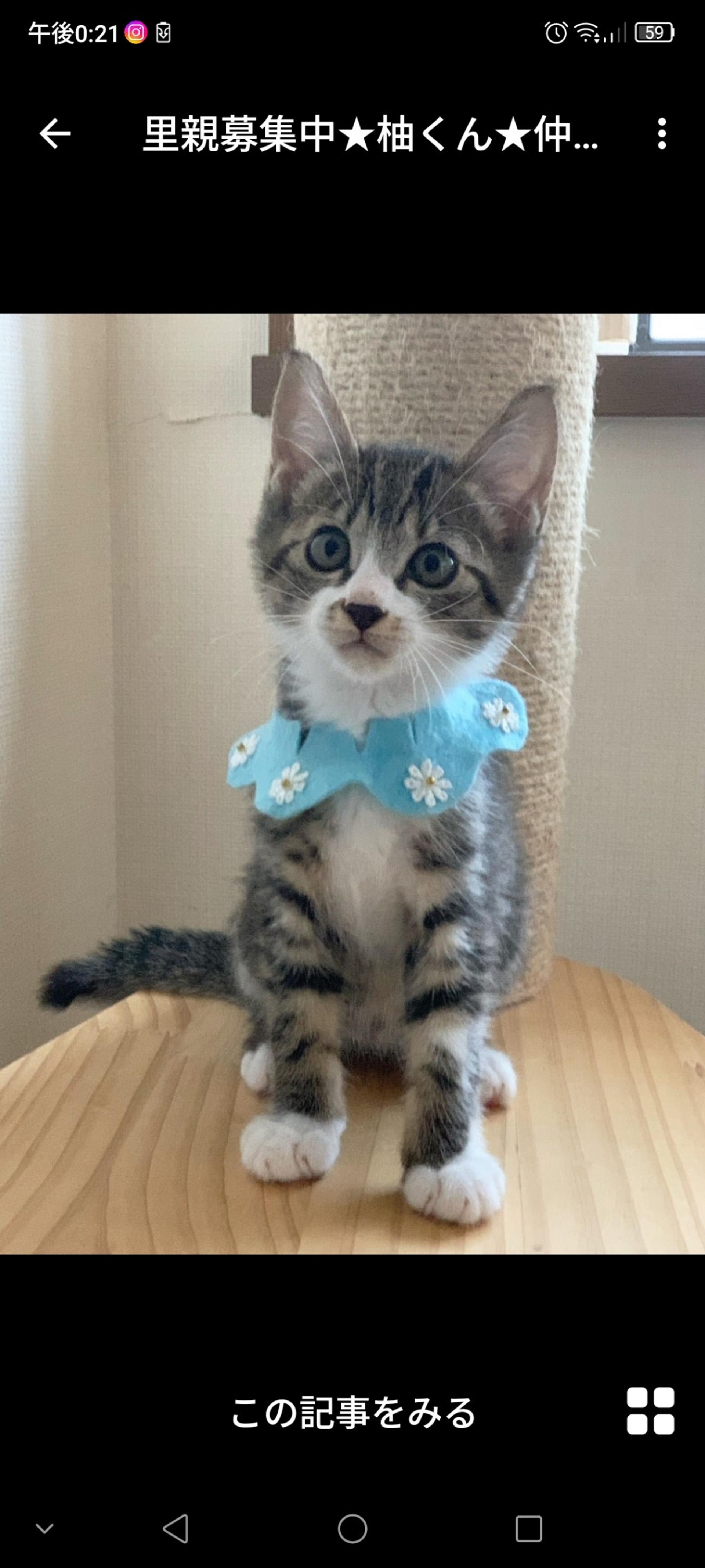 pet-image-3