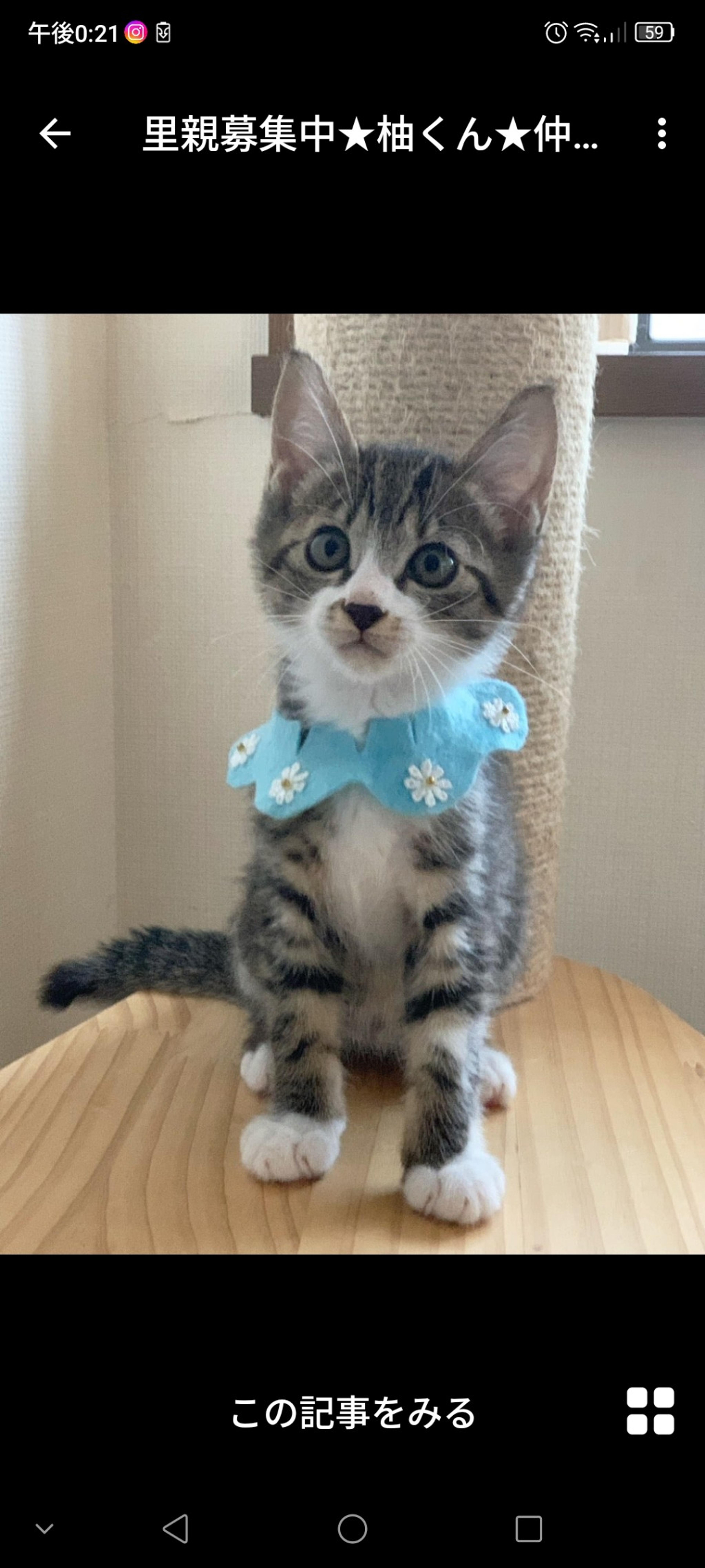 pet-image-3