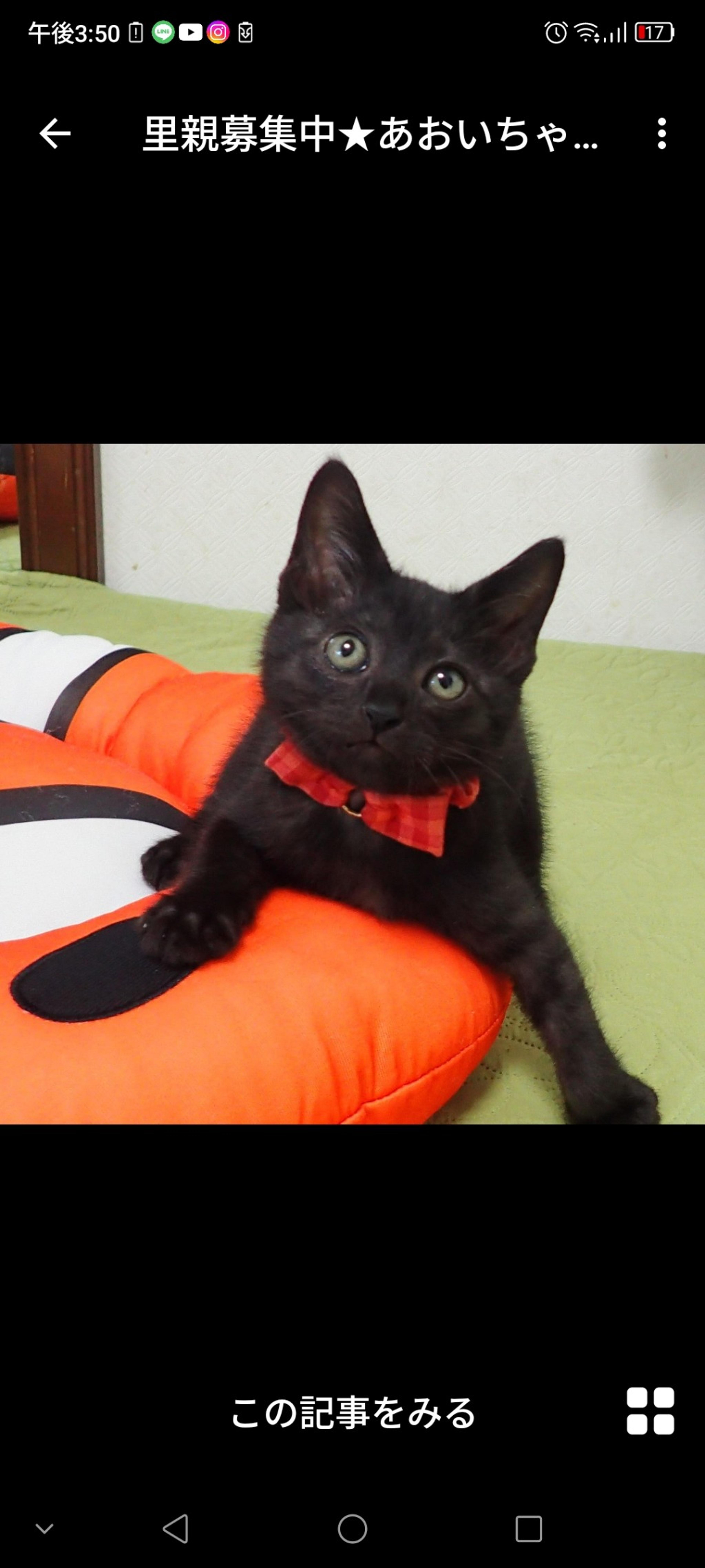 pet-image-2