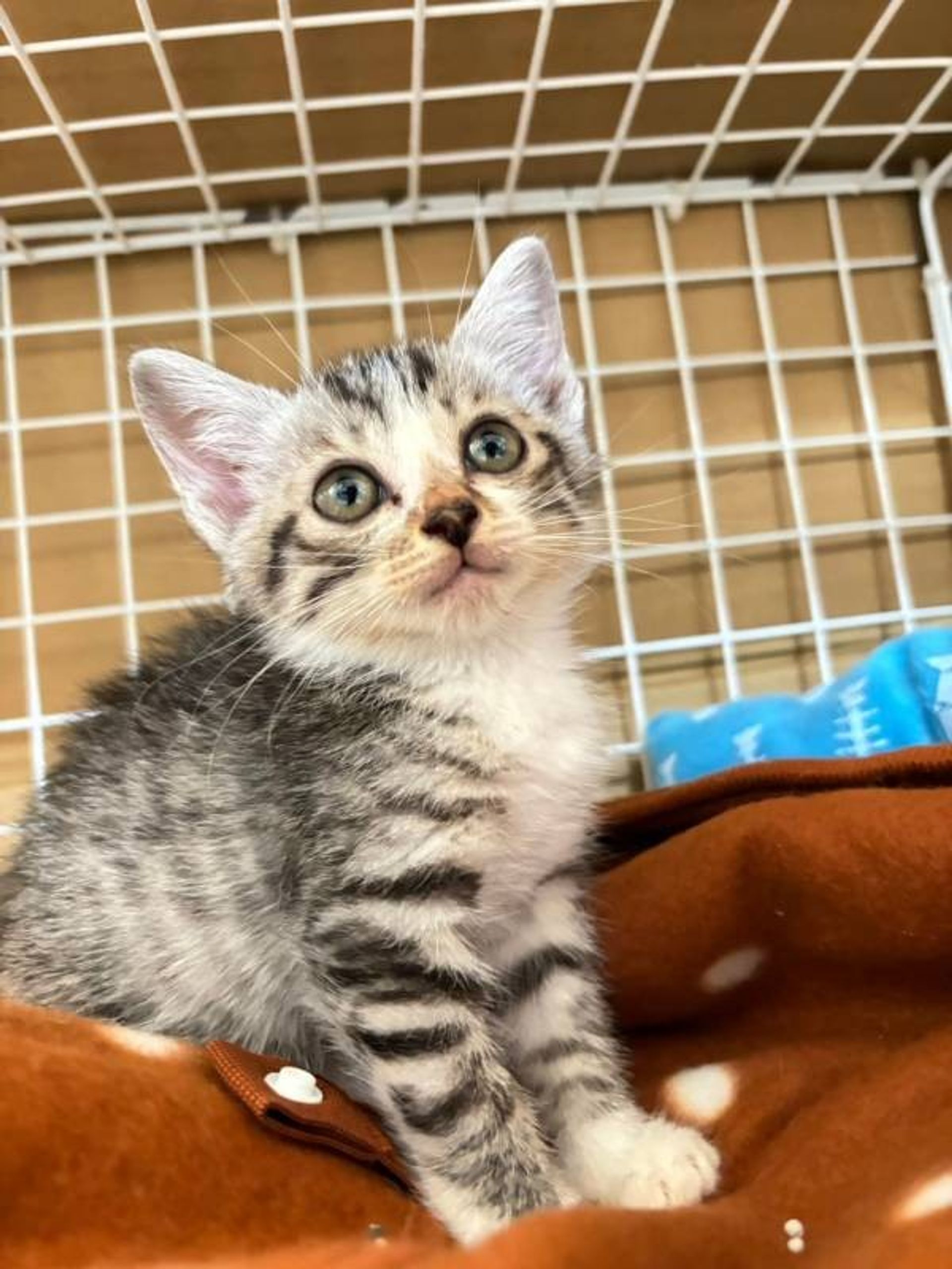thumbnail-5