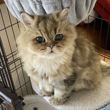 えいごの写真