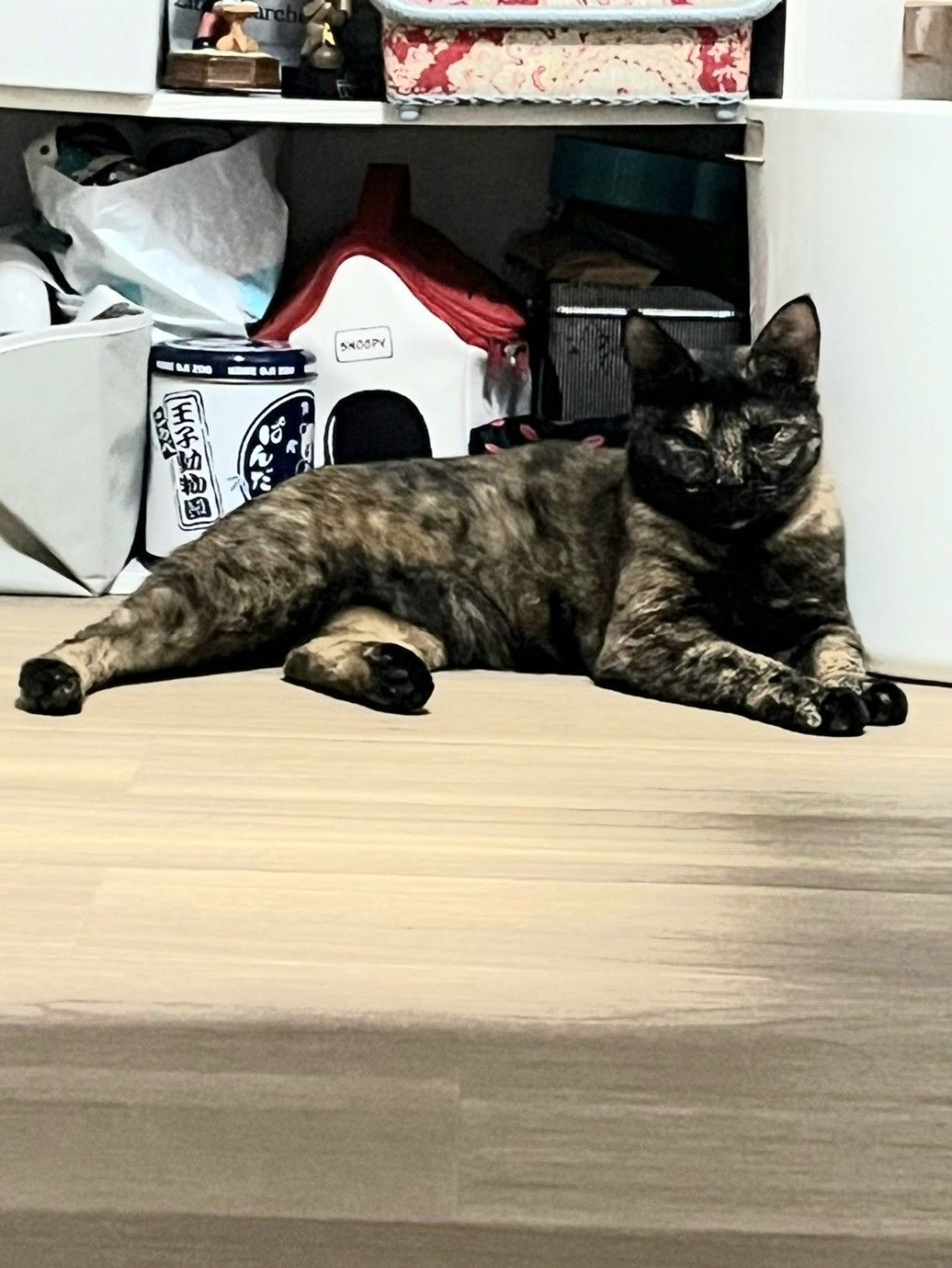 image-6