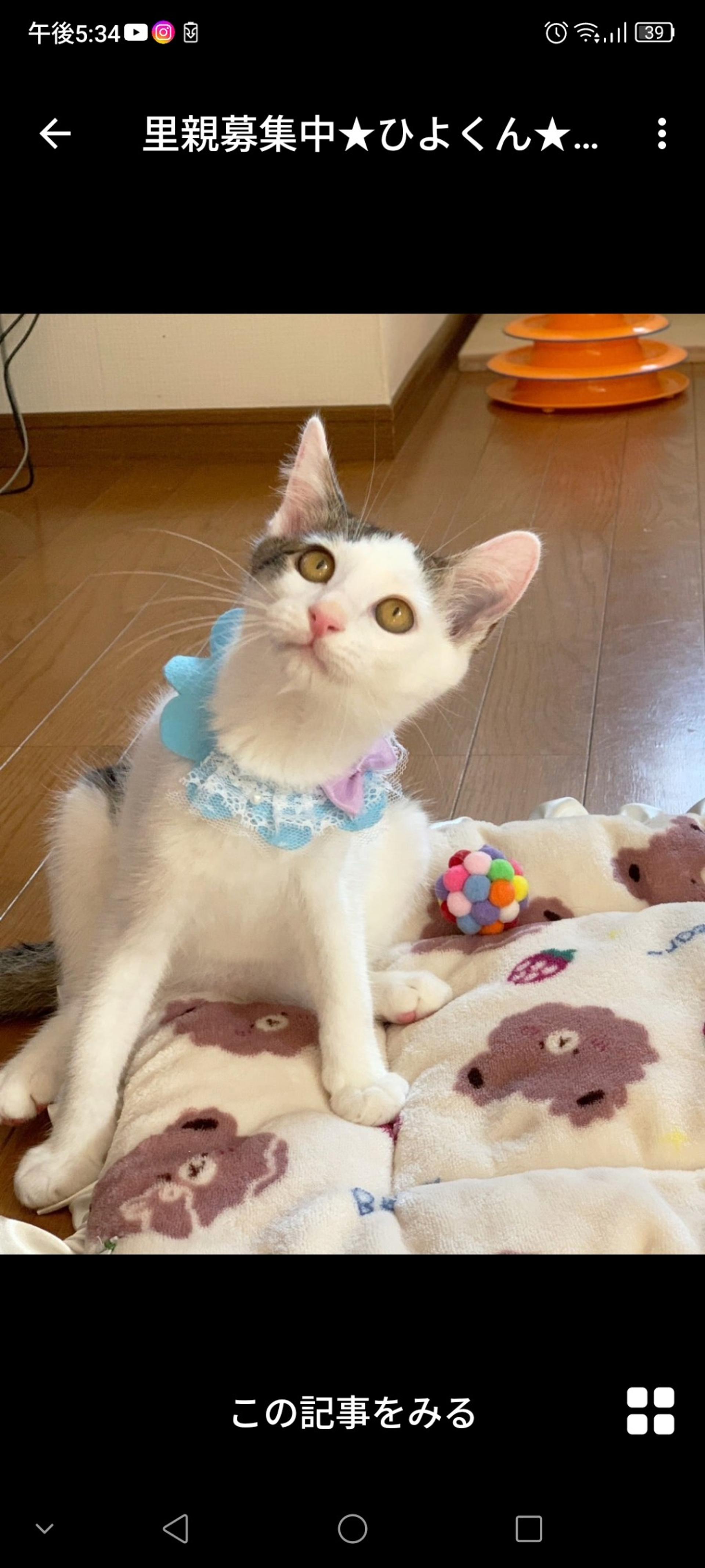 pet-image-2