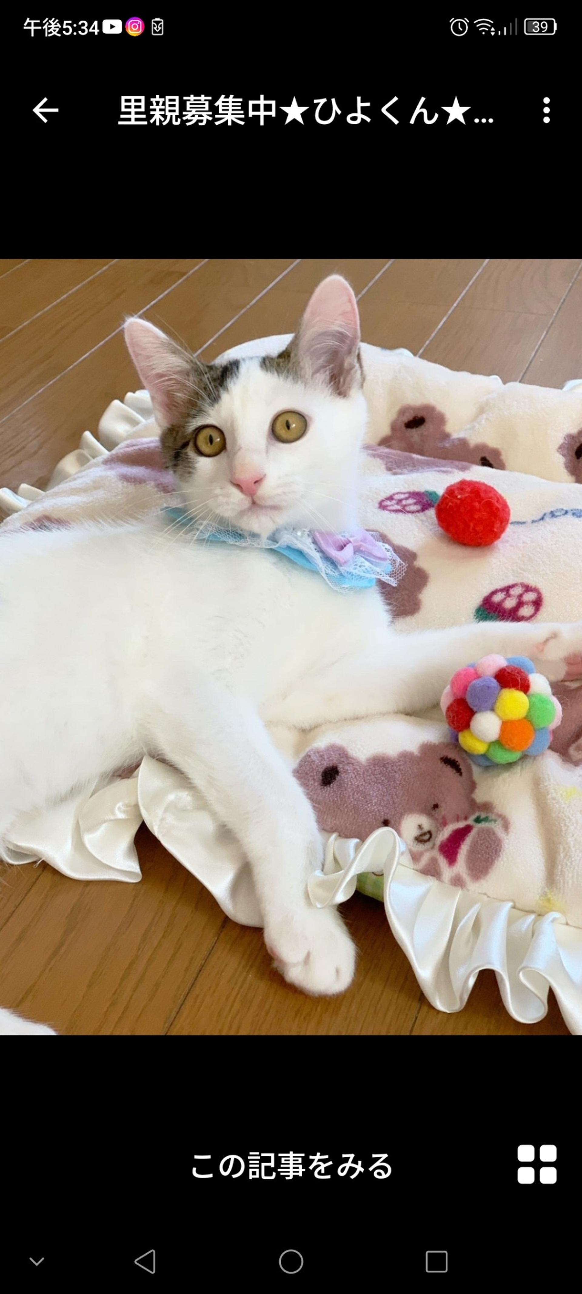 pet-image-3