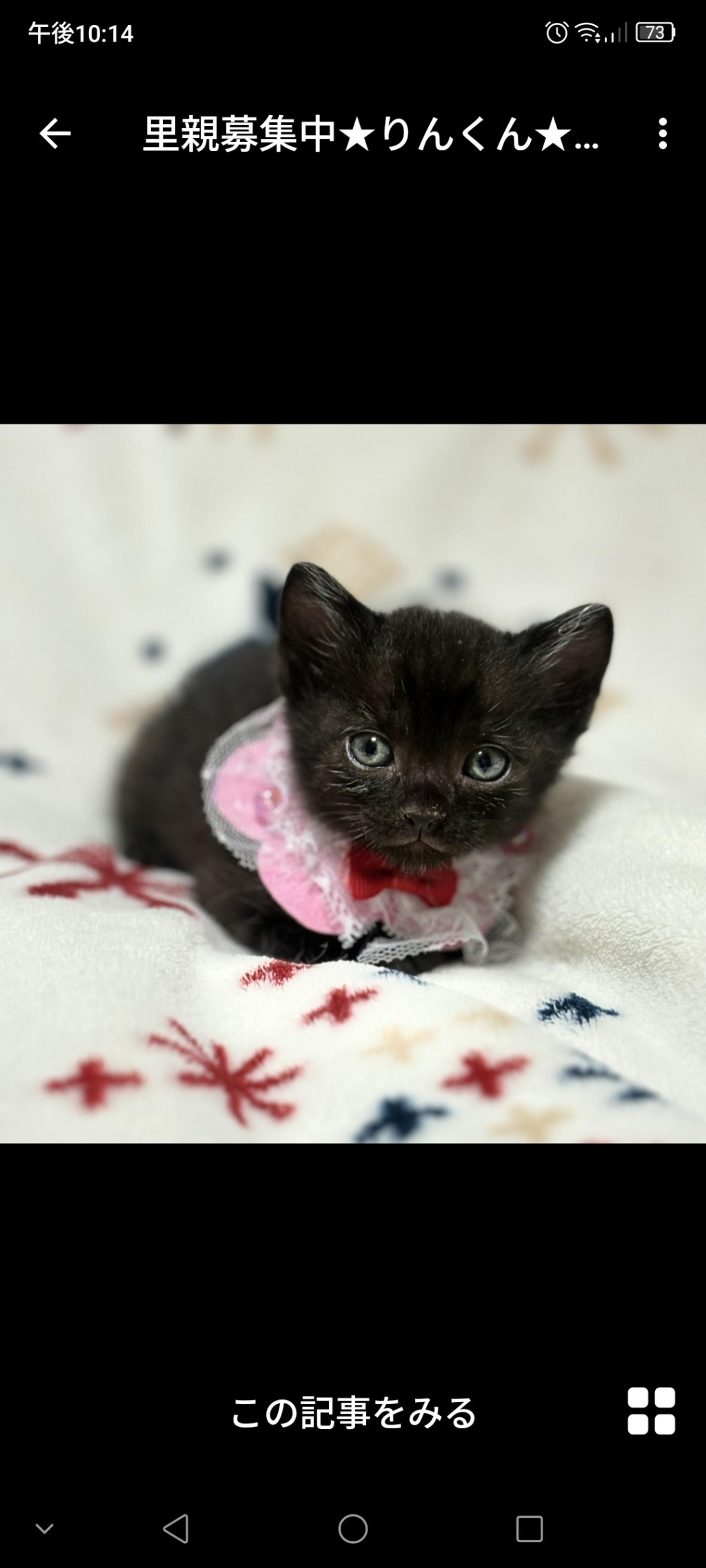 pet-image-2