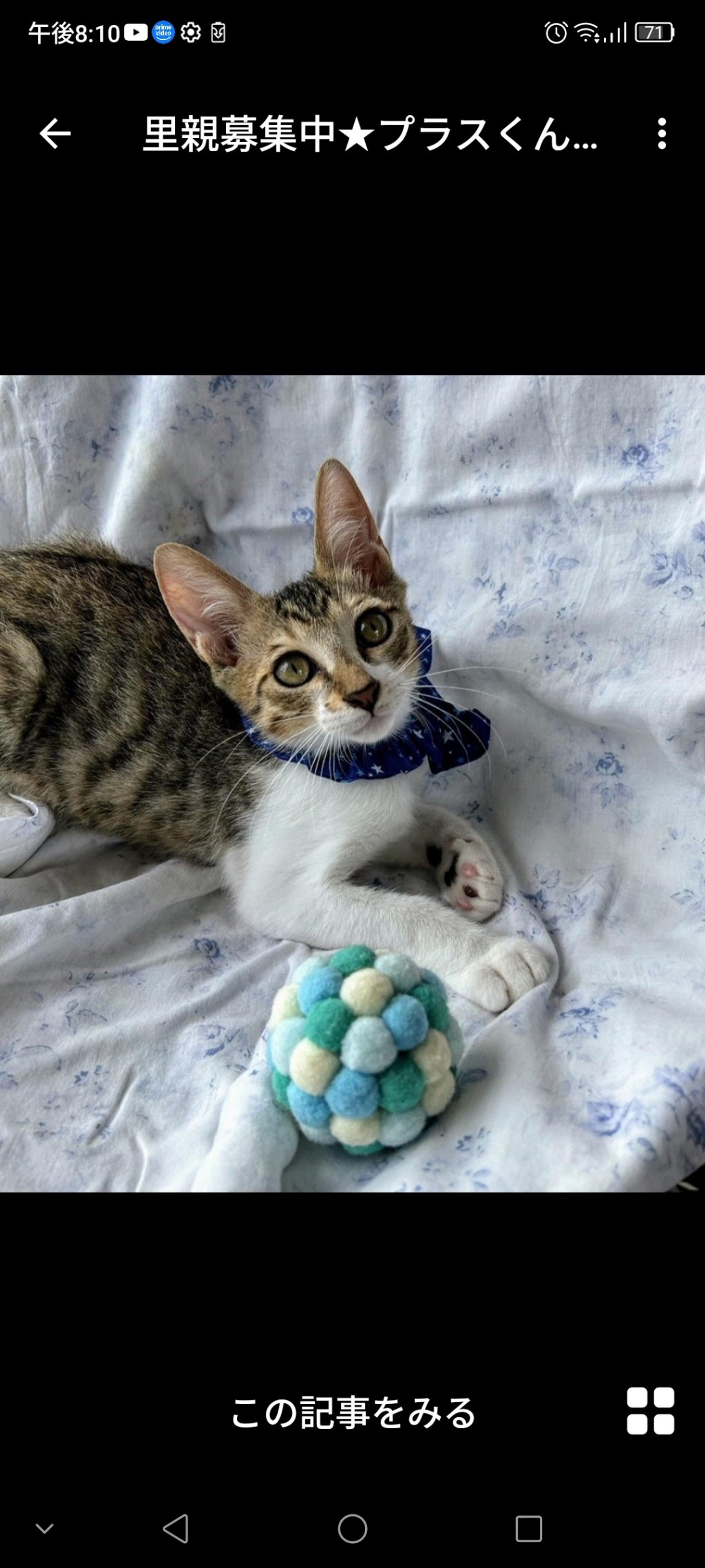 pet-image-3