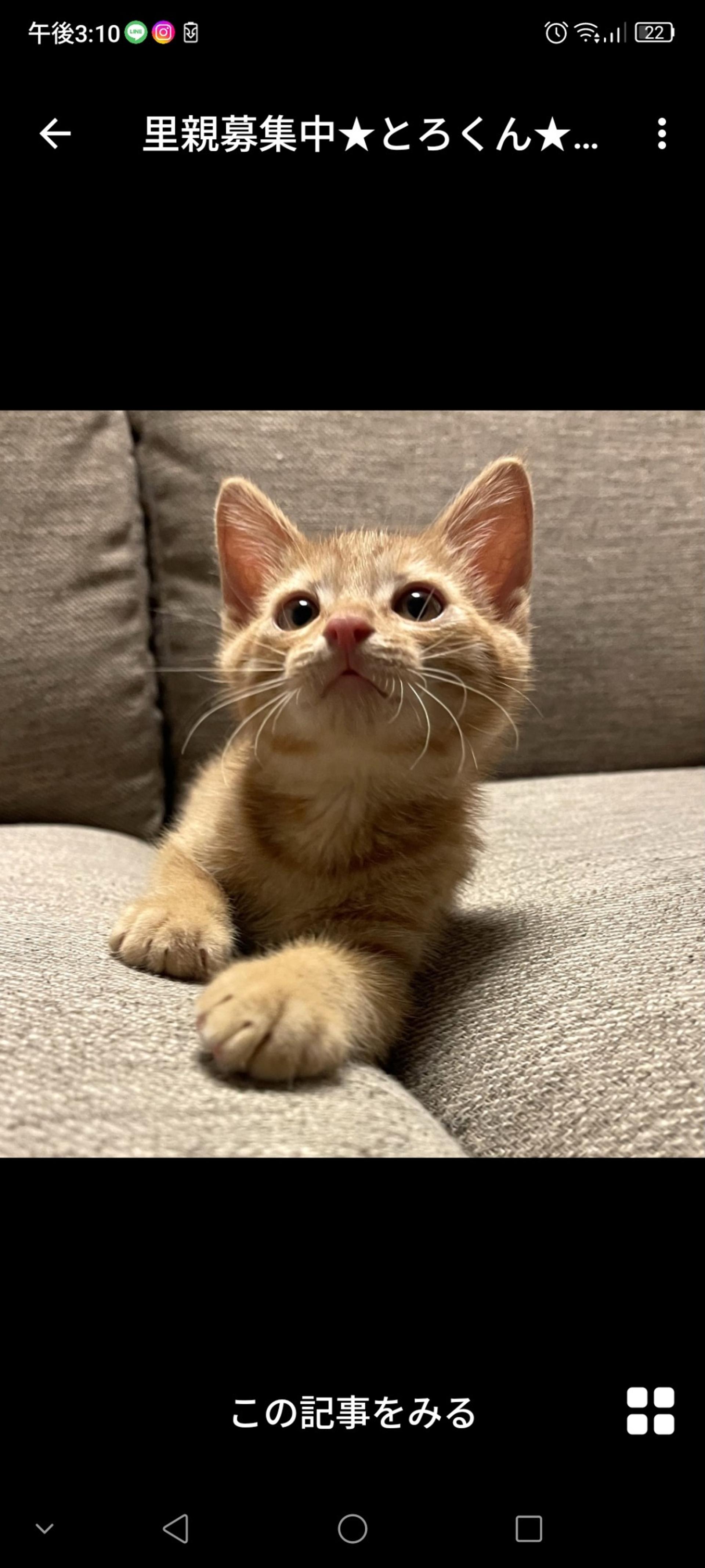 pet-image-2