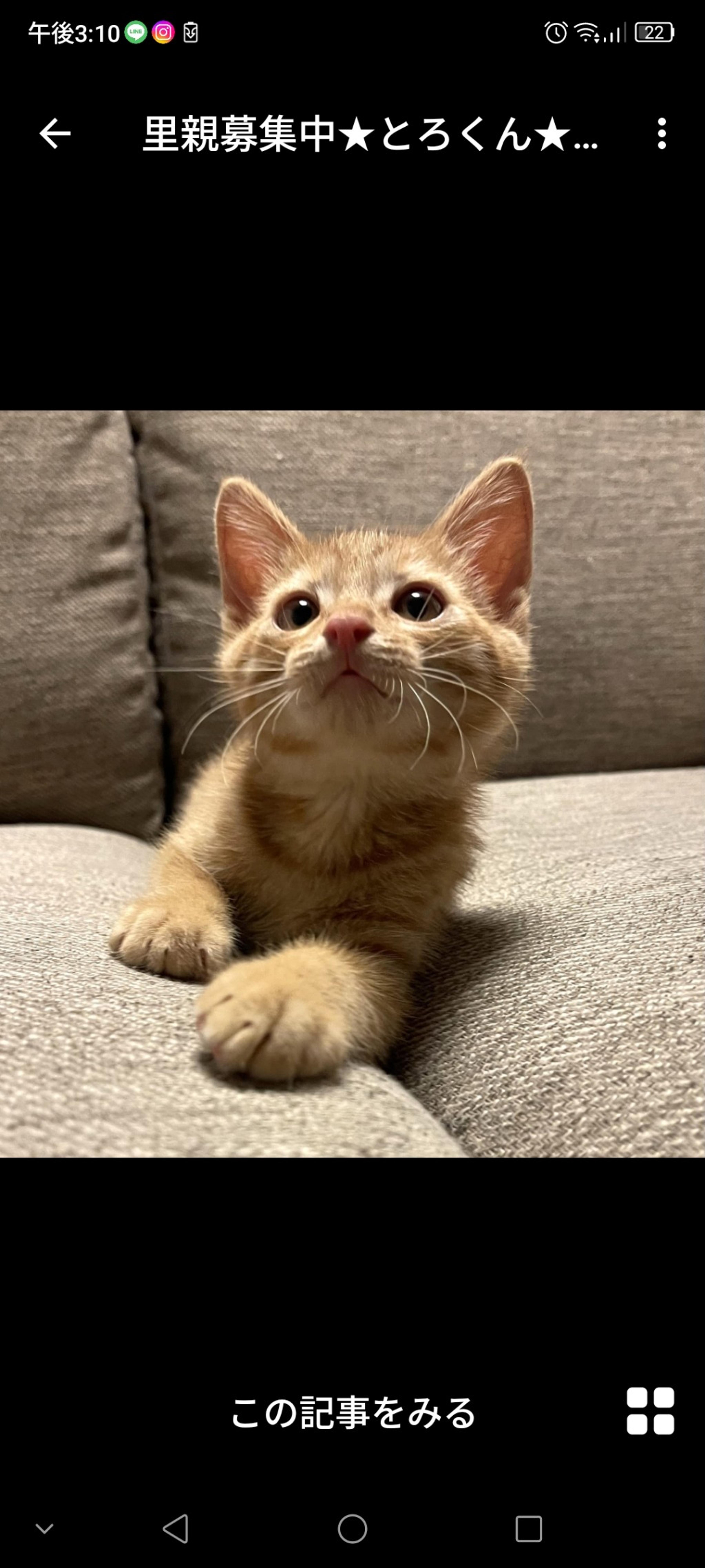 pet-image-2
