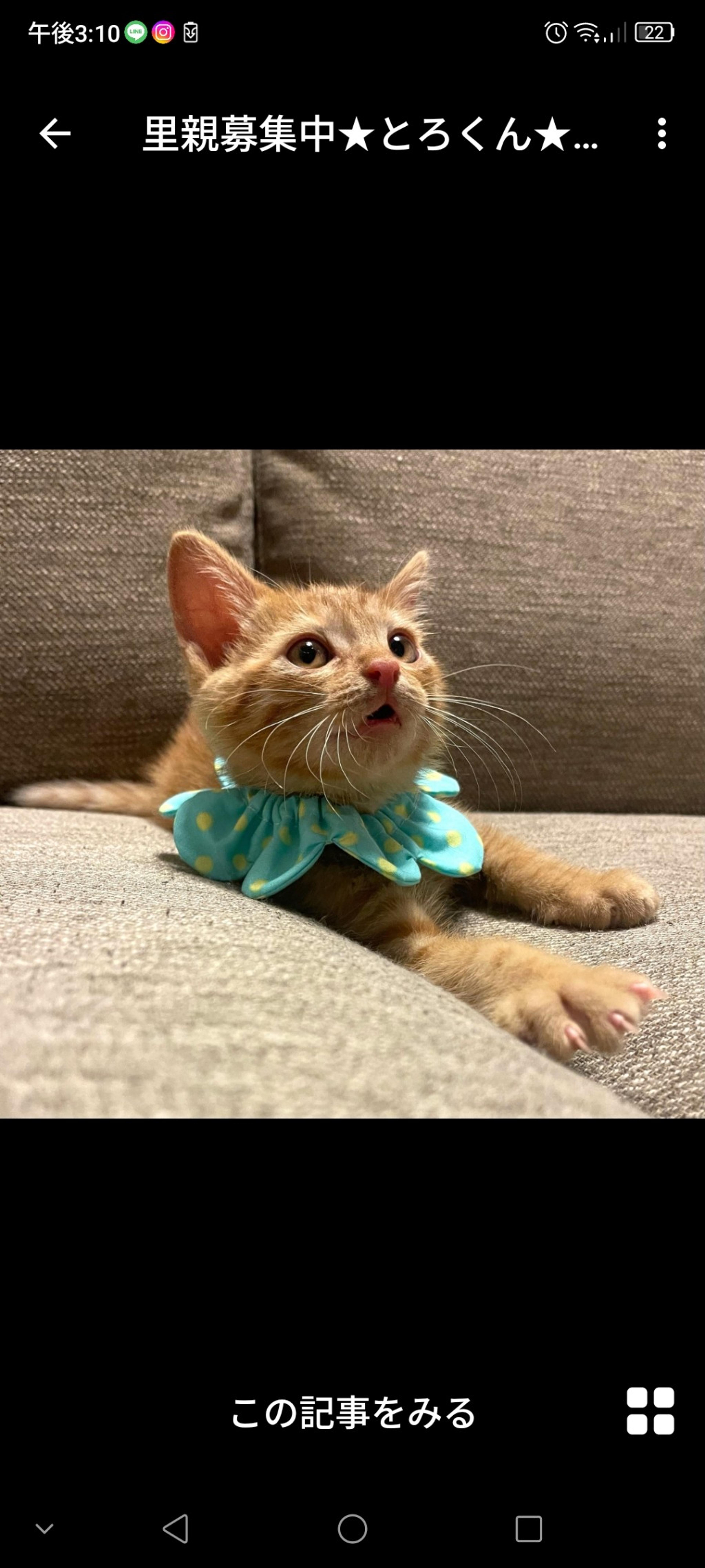 pet-image-3