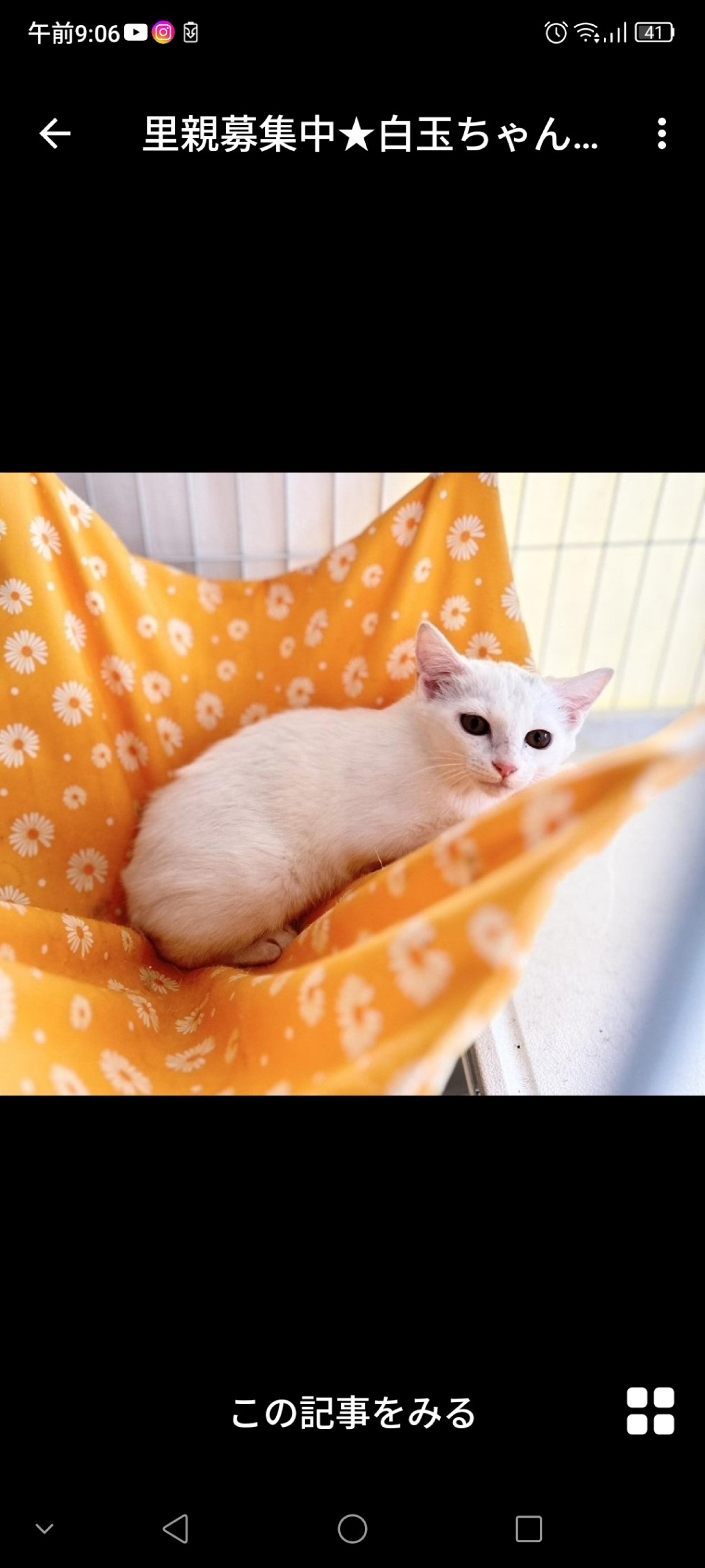 pet-image-2