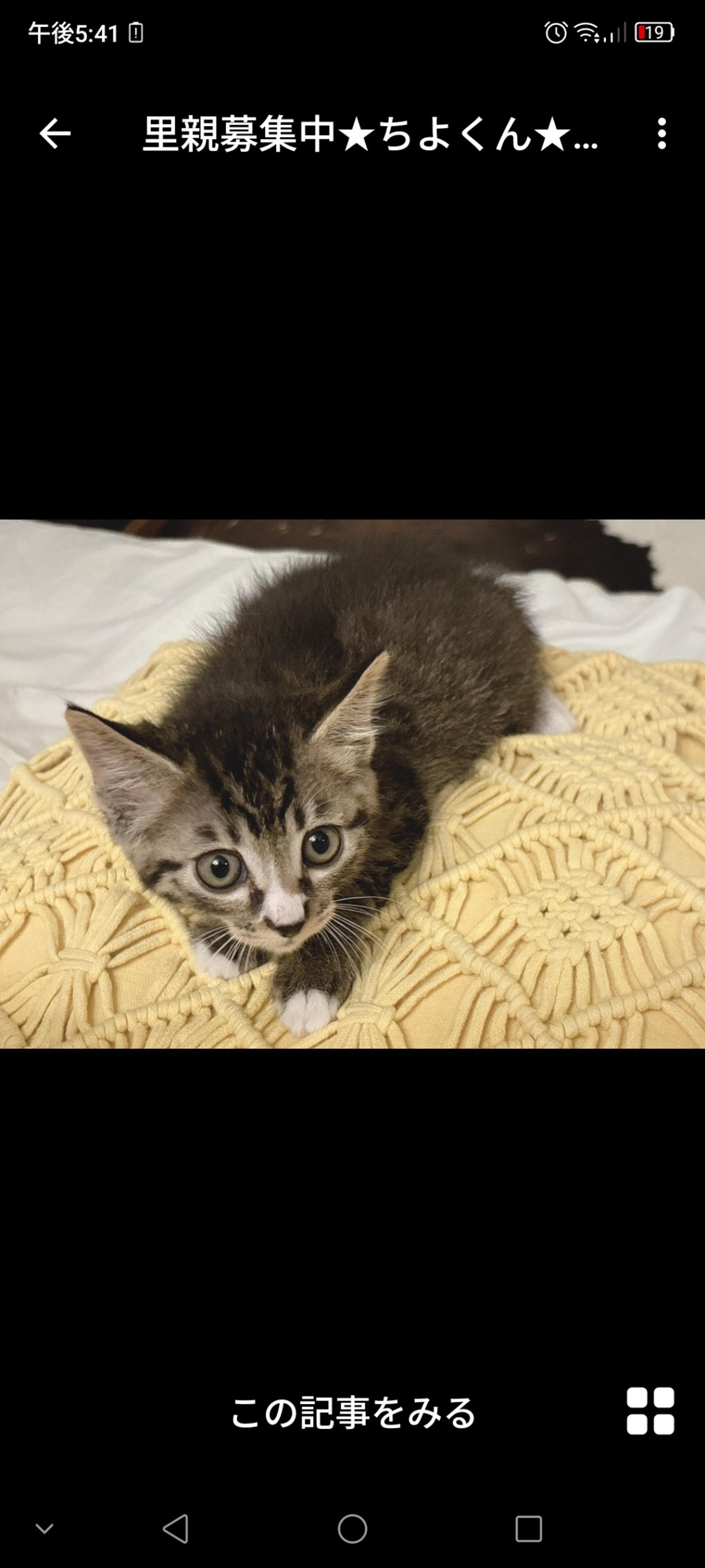 pet-image-3
