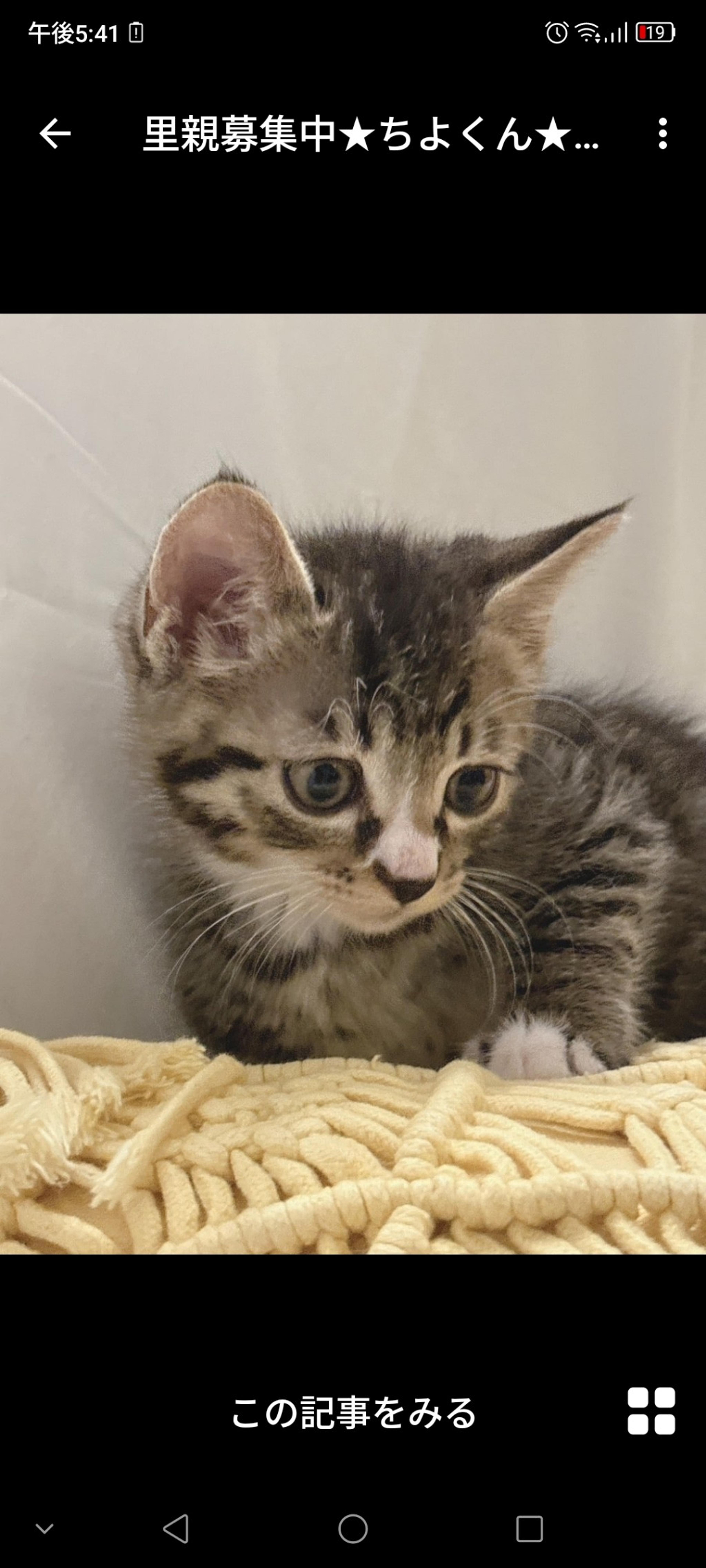 pet-image-2