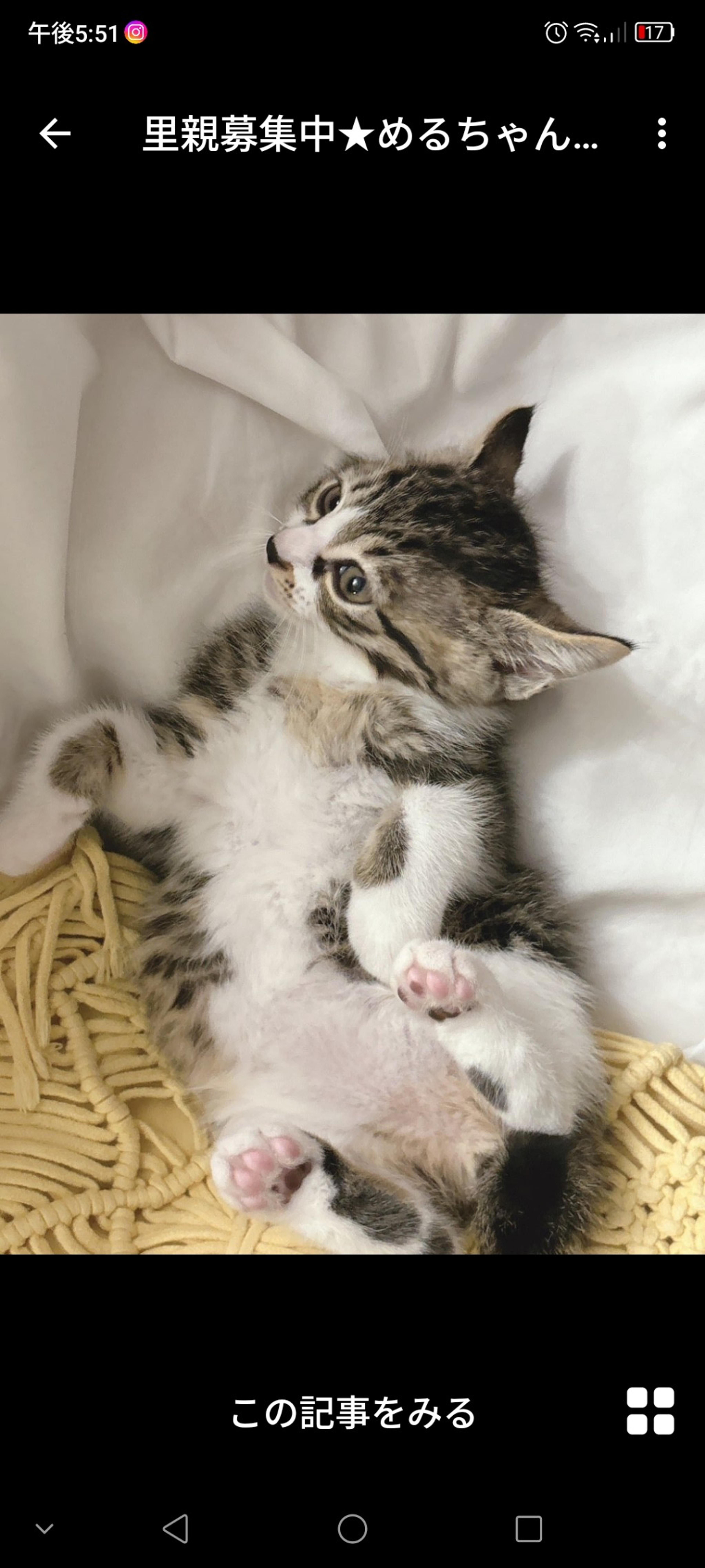 pet-image-3