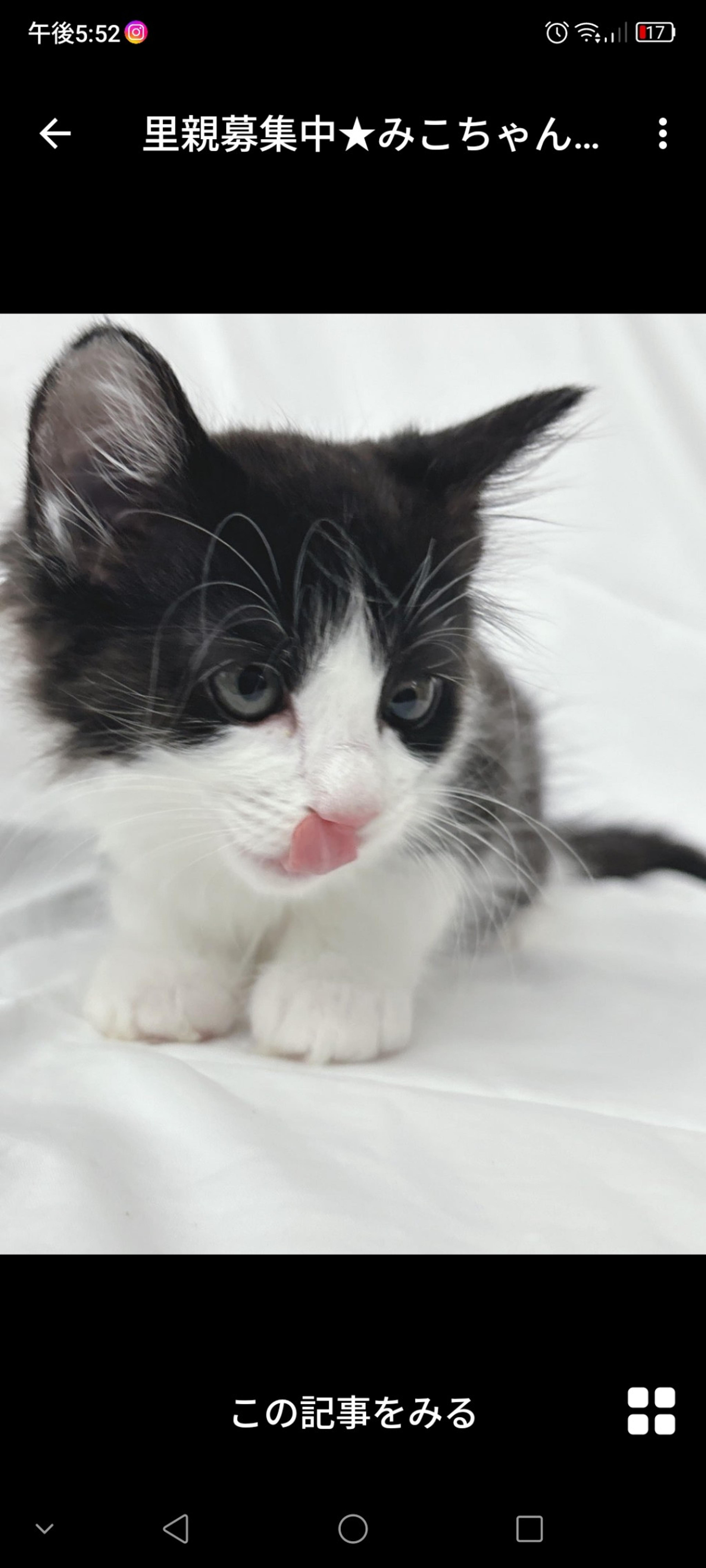pet-image-3