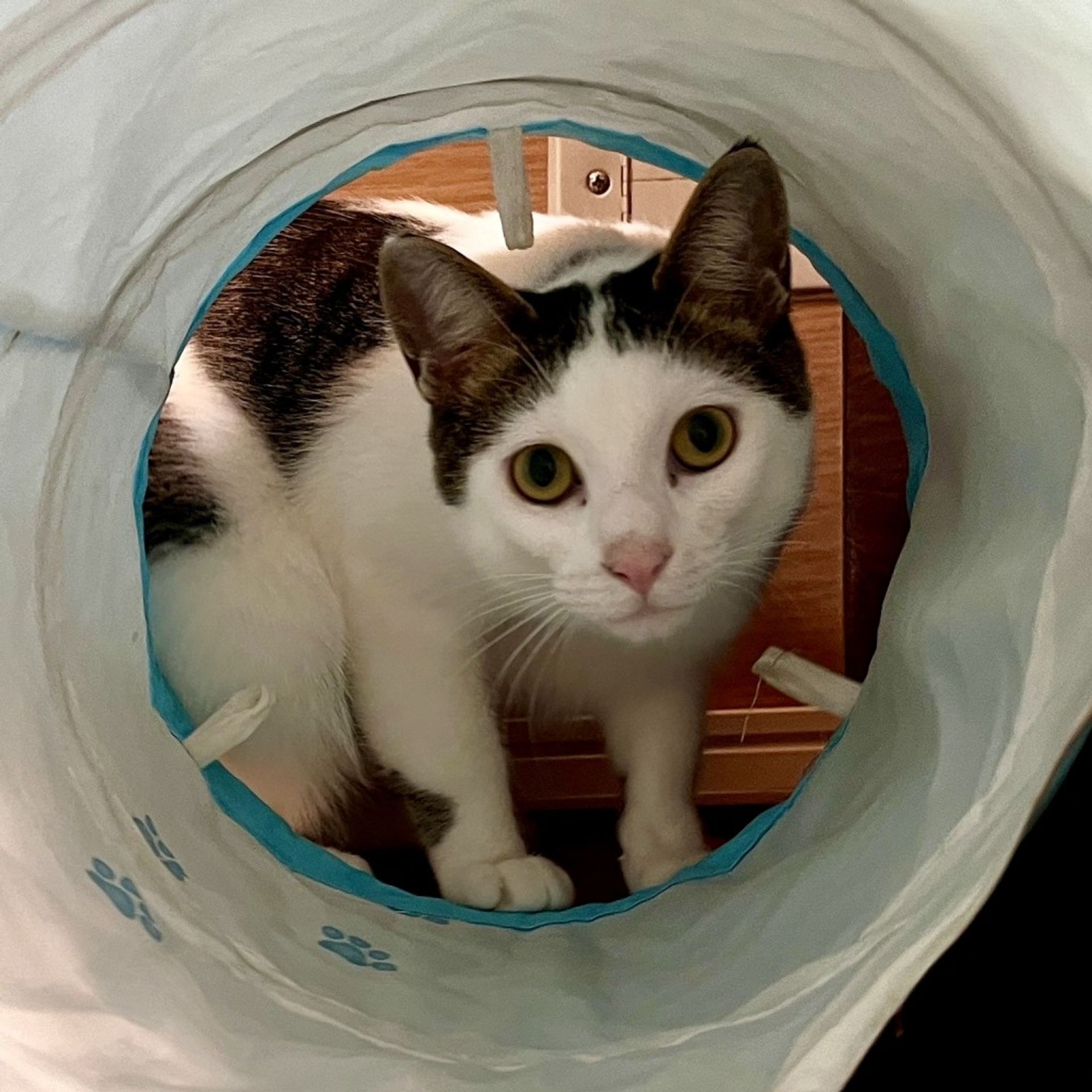 thumbnail-5