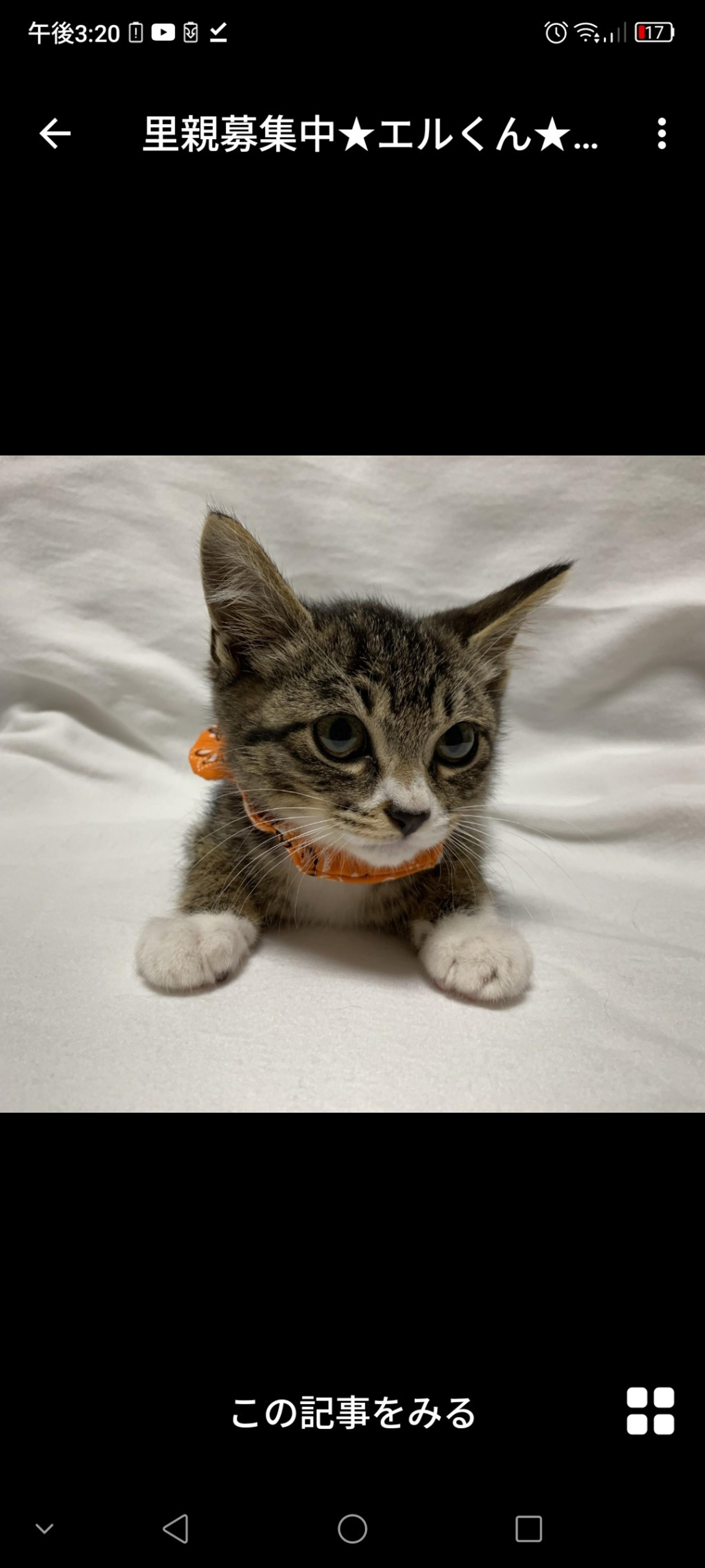 pet-image-2