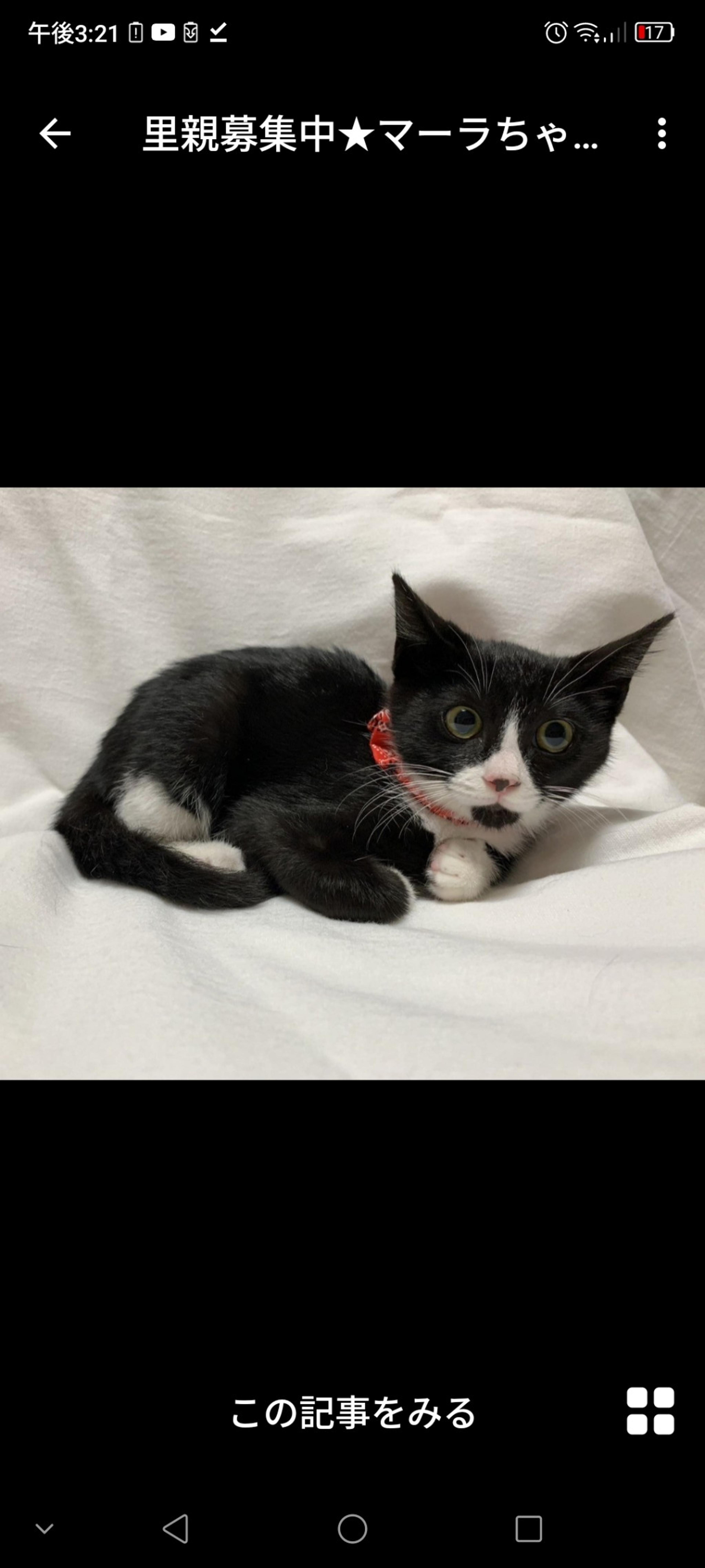 pet-image-2