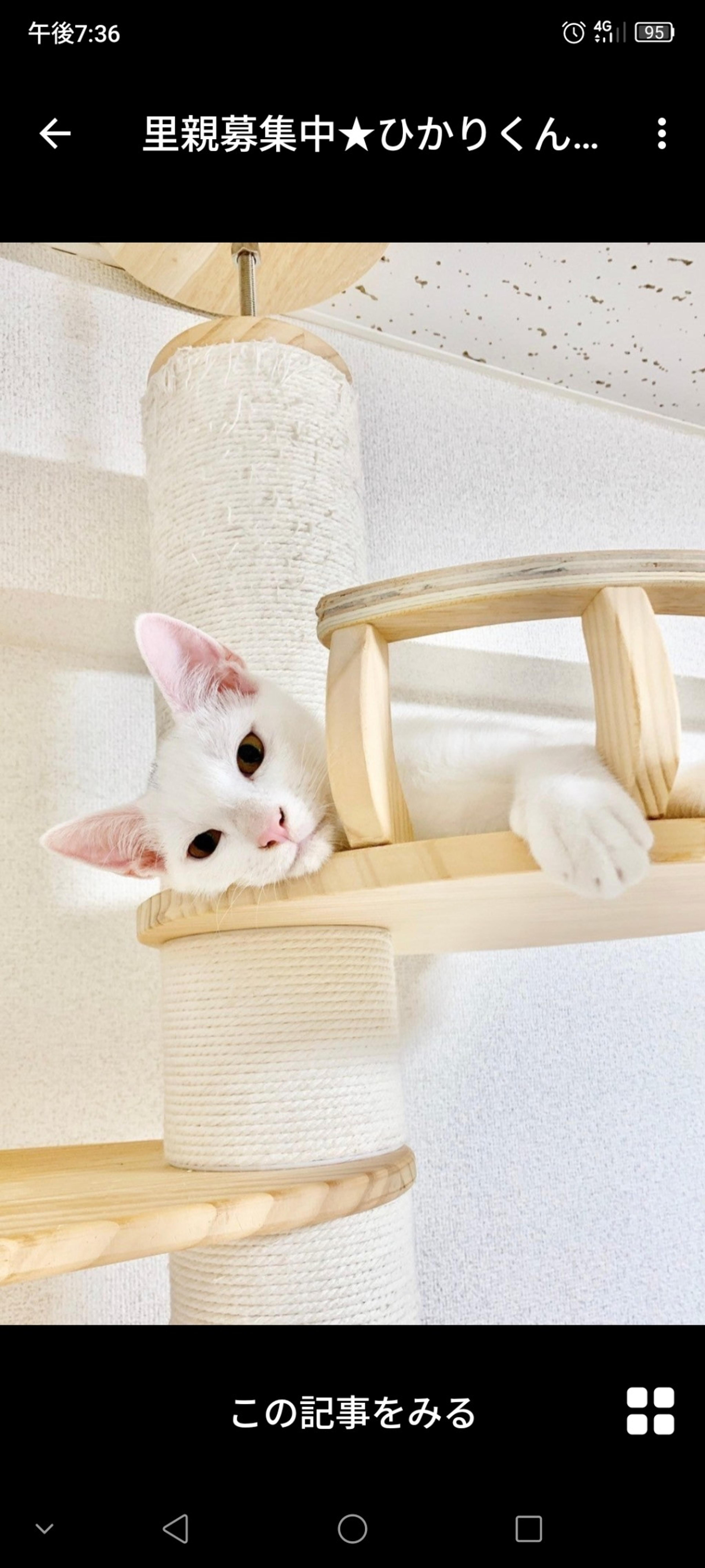 pet-image-2