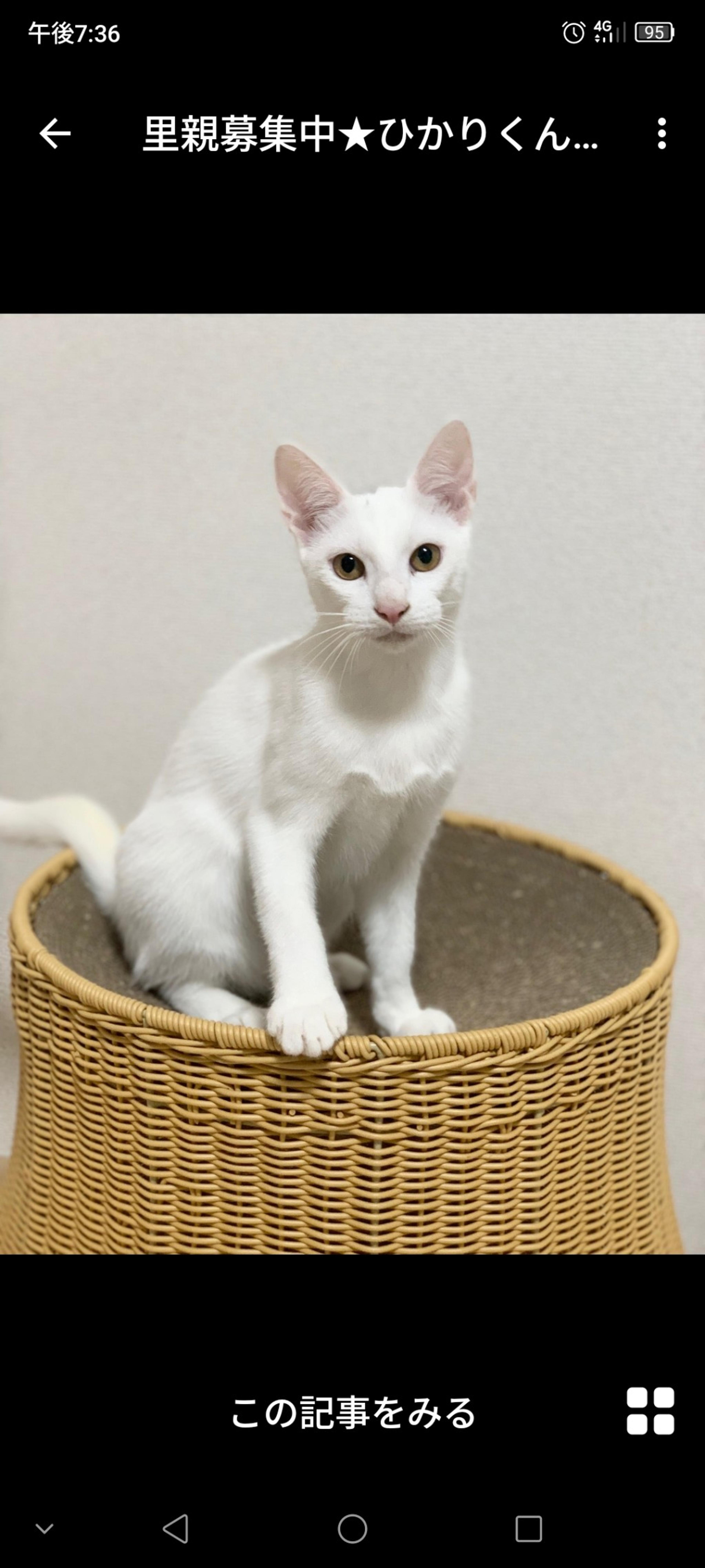 pet-image-3