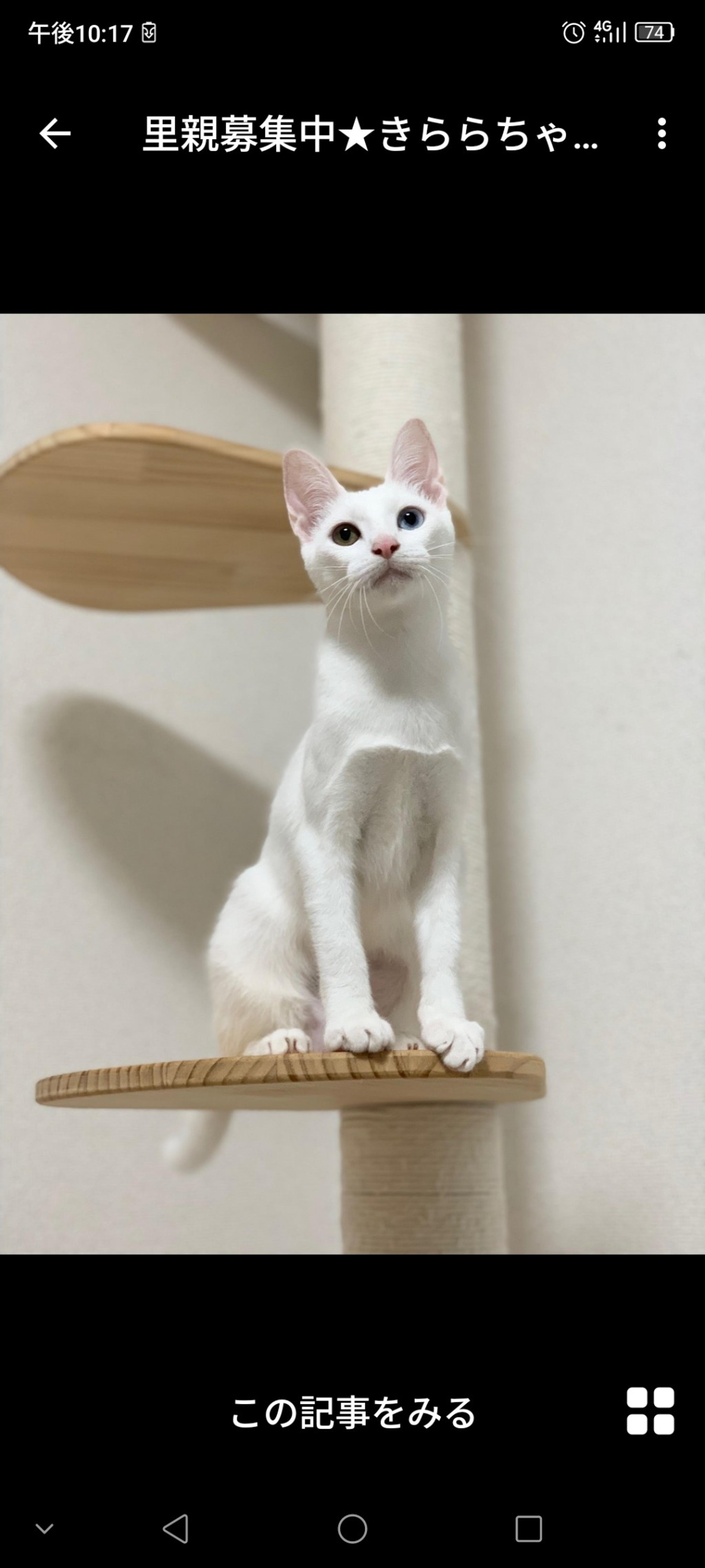 pet-image-2