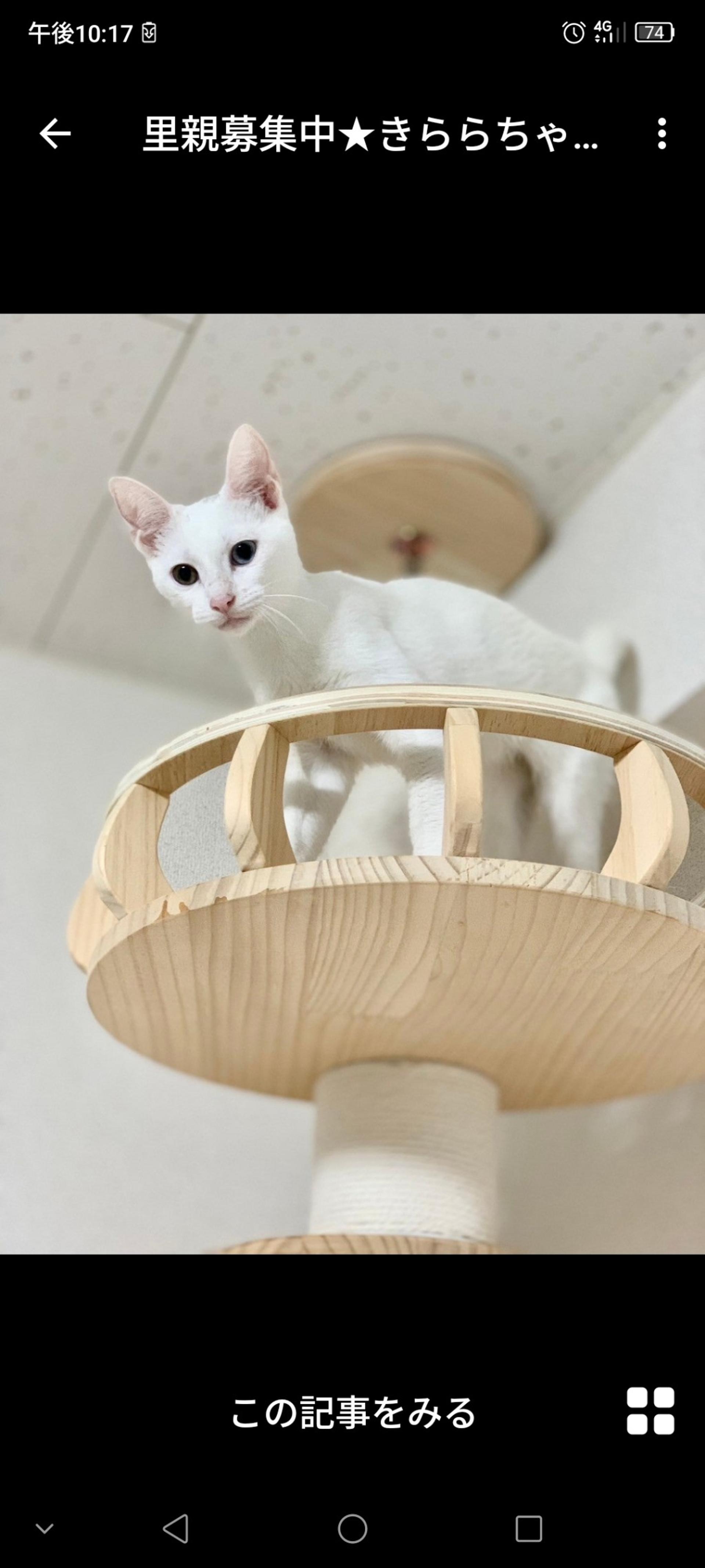 pet-image-3