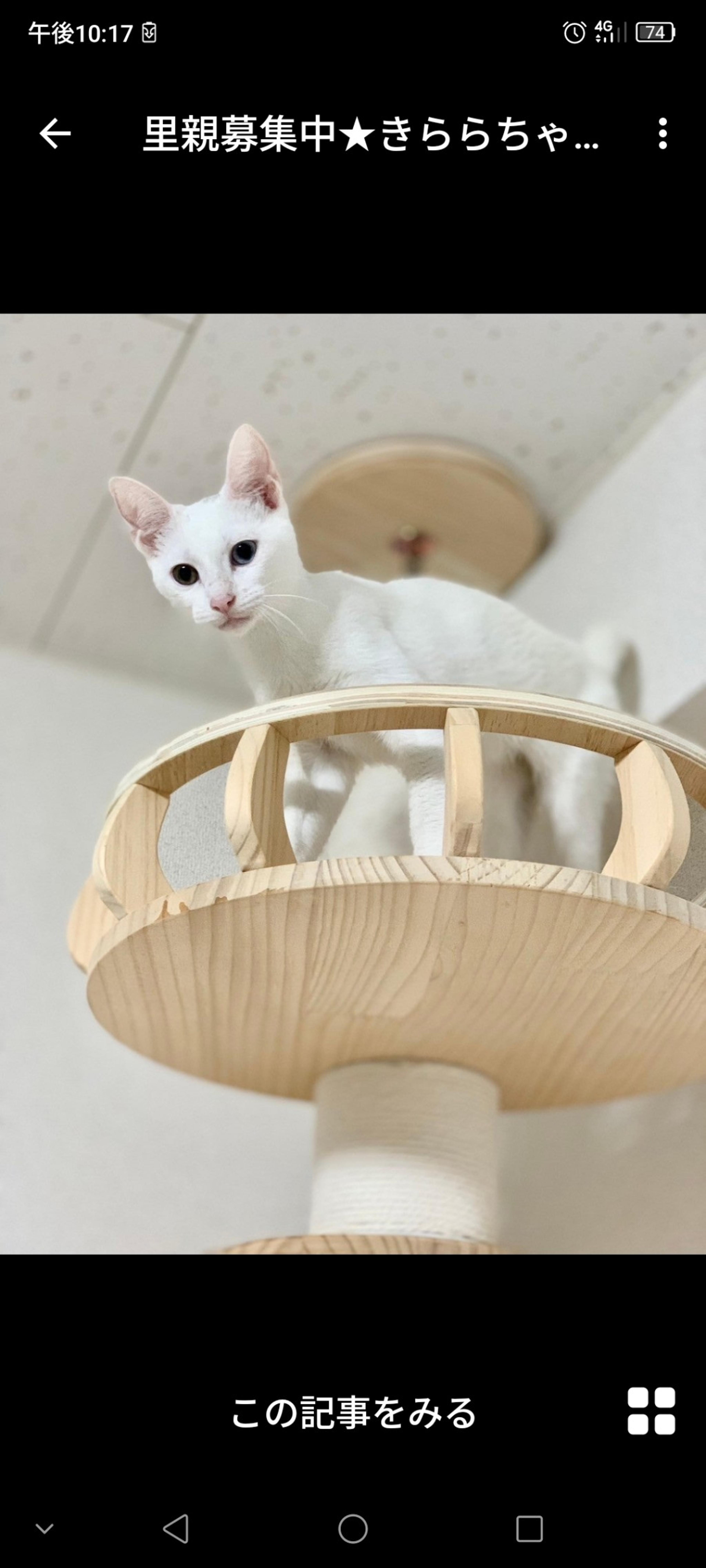 pet-image-3