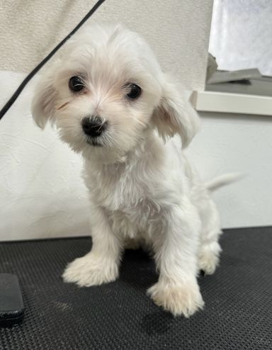 くーちゃん