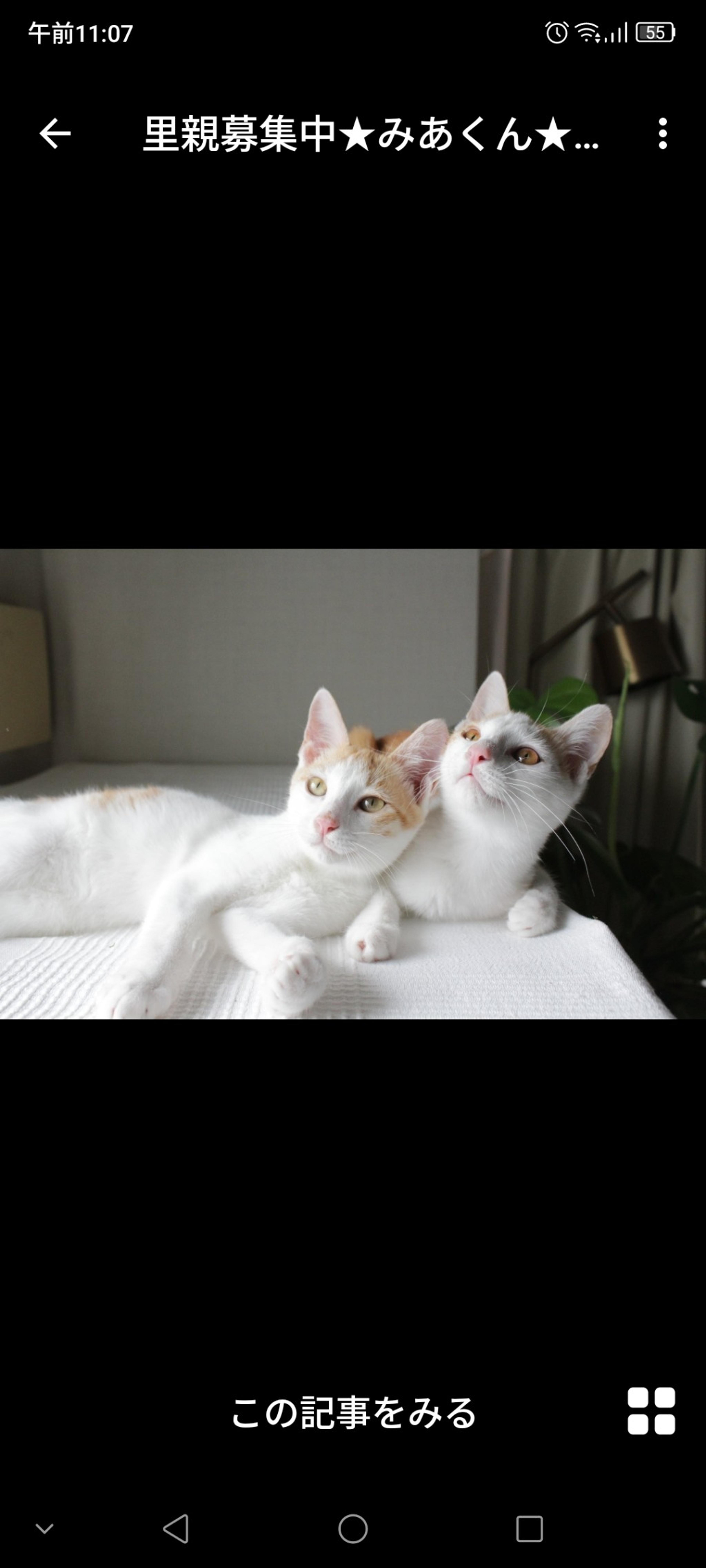 pet-image-3