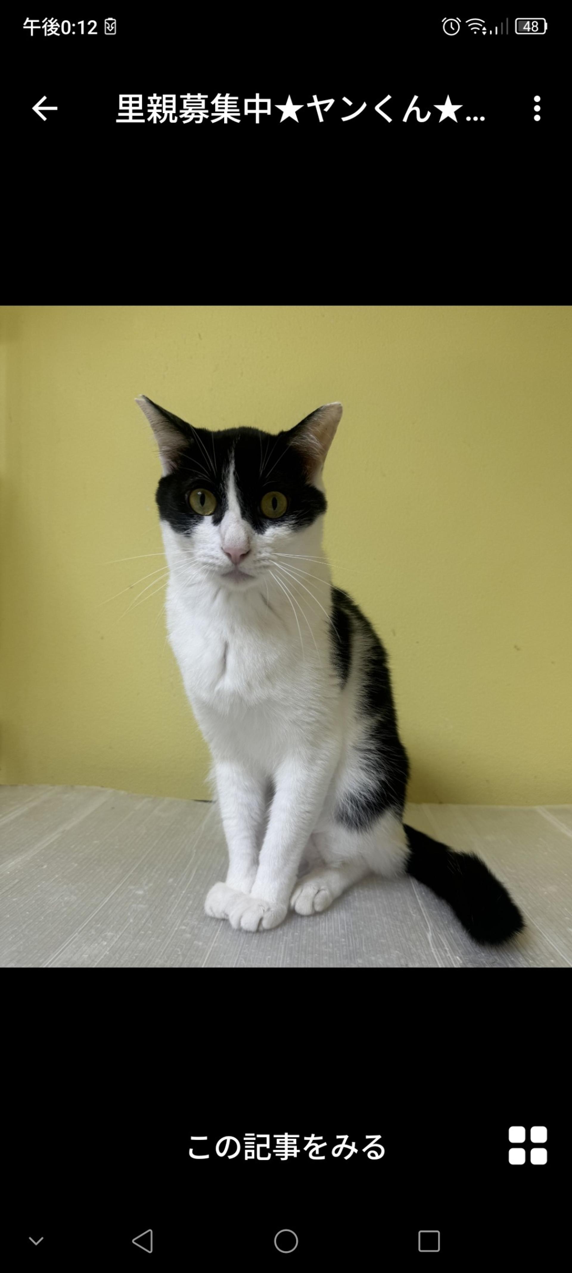 pet-image-3