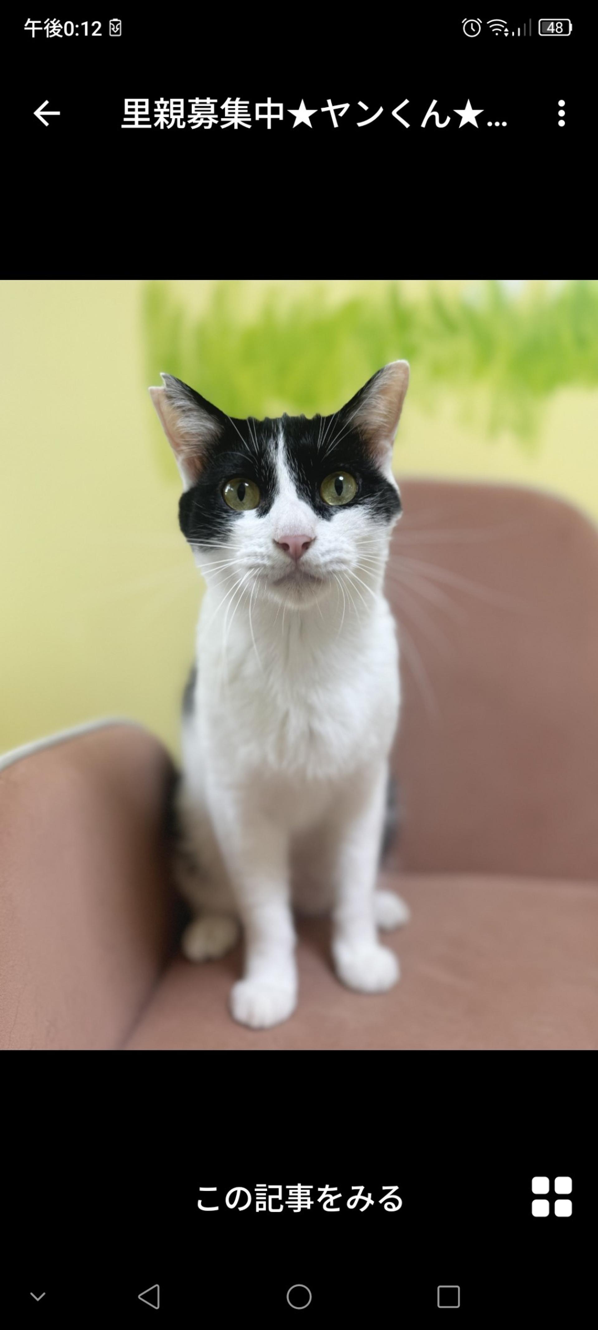 pet-image-2
