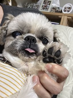 thumb-0