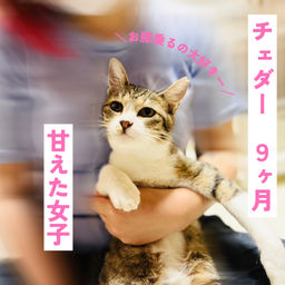 thumb-2