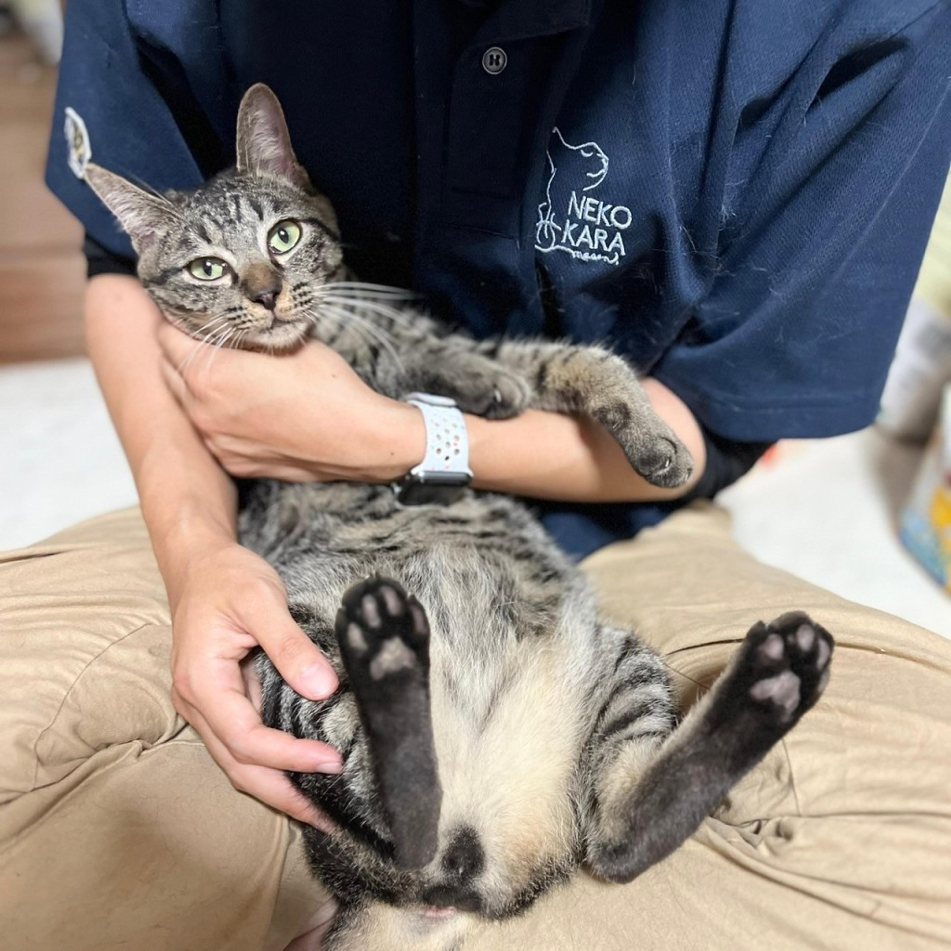 pet-image-5